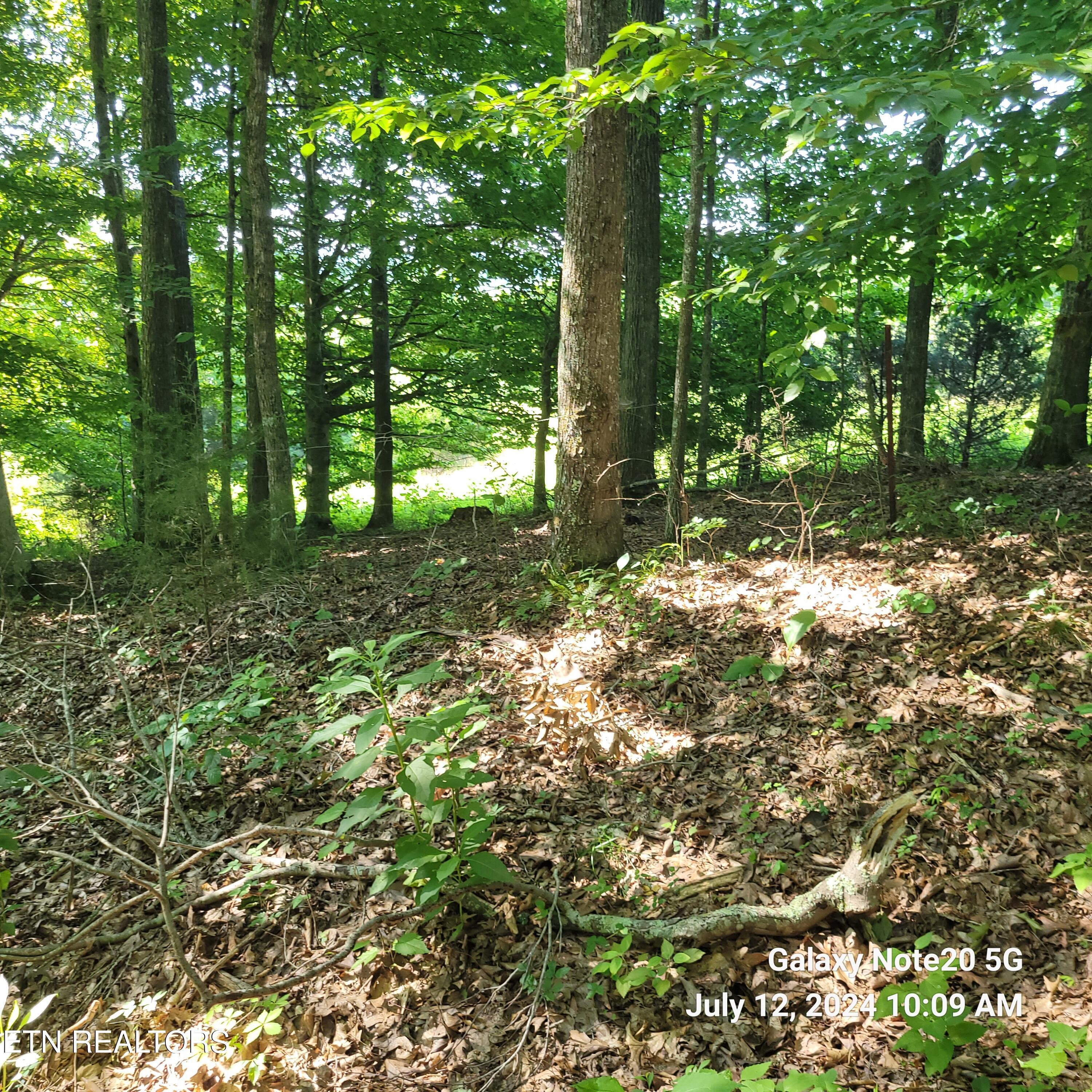 Norris Lake Real Estate - Image# 11