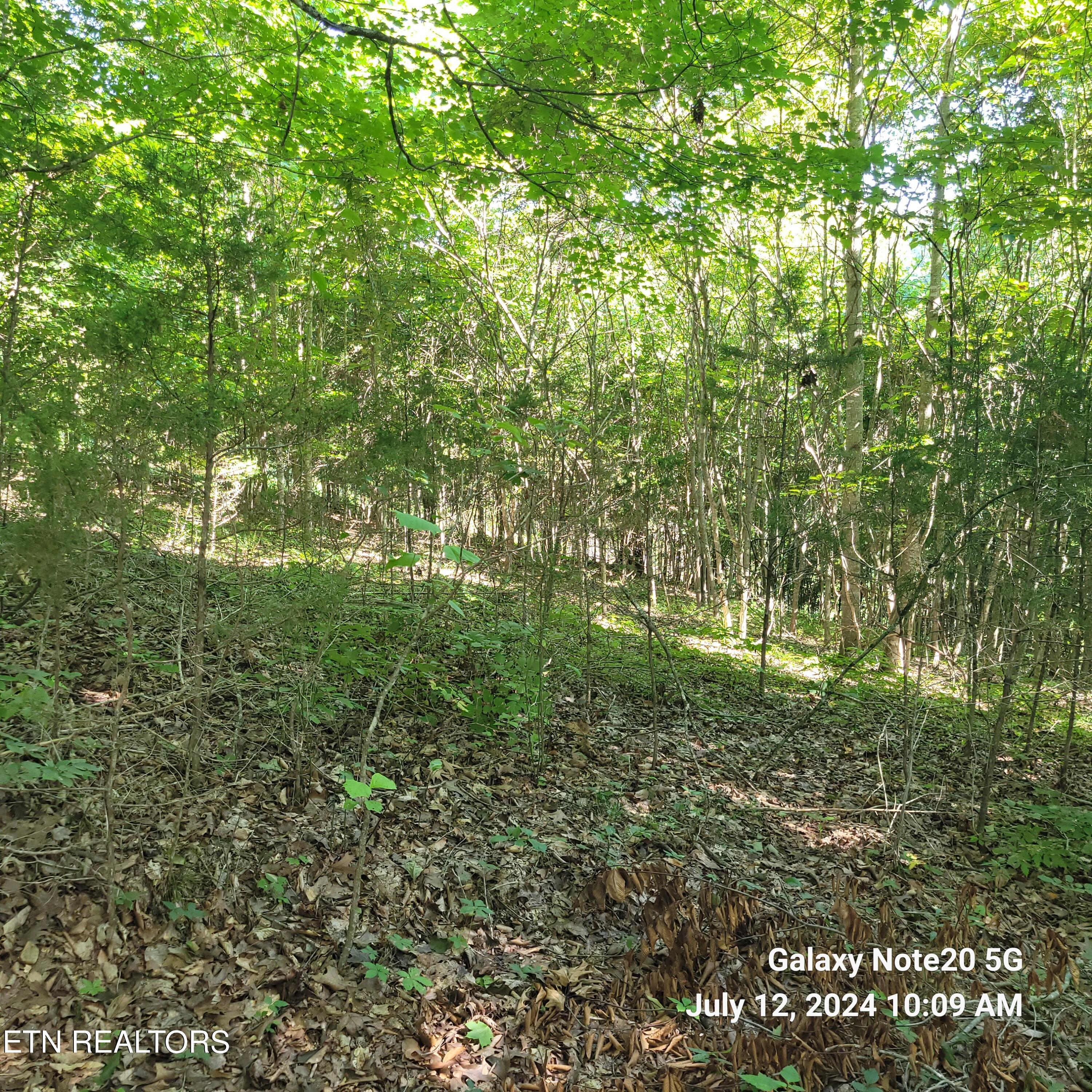 Norris Lake Real Estate - Image# 12