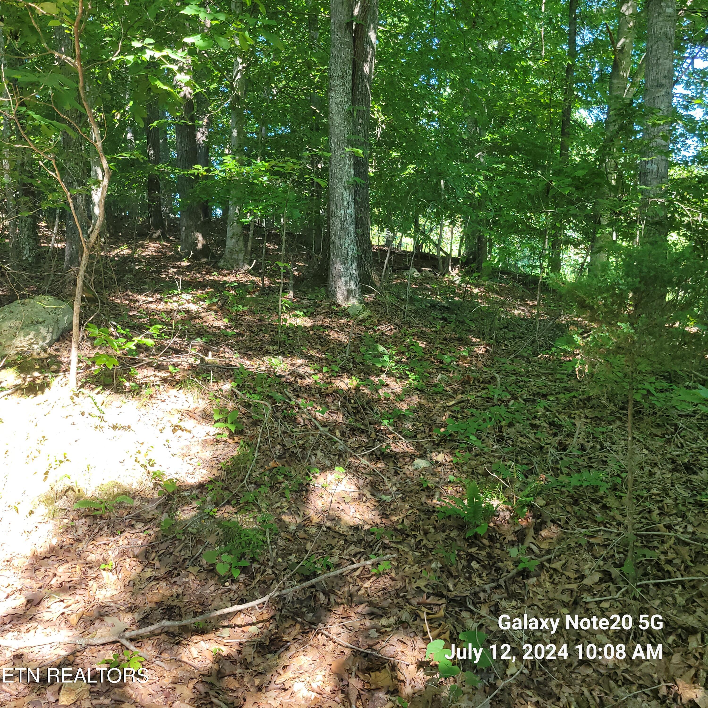 Norris Lake Real Estate - Image# 13