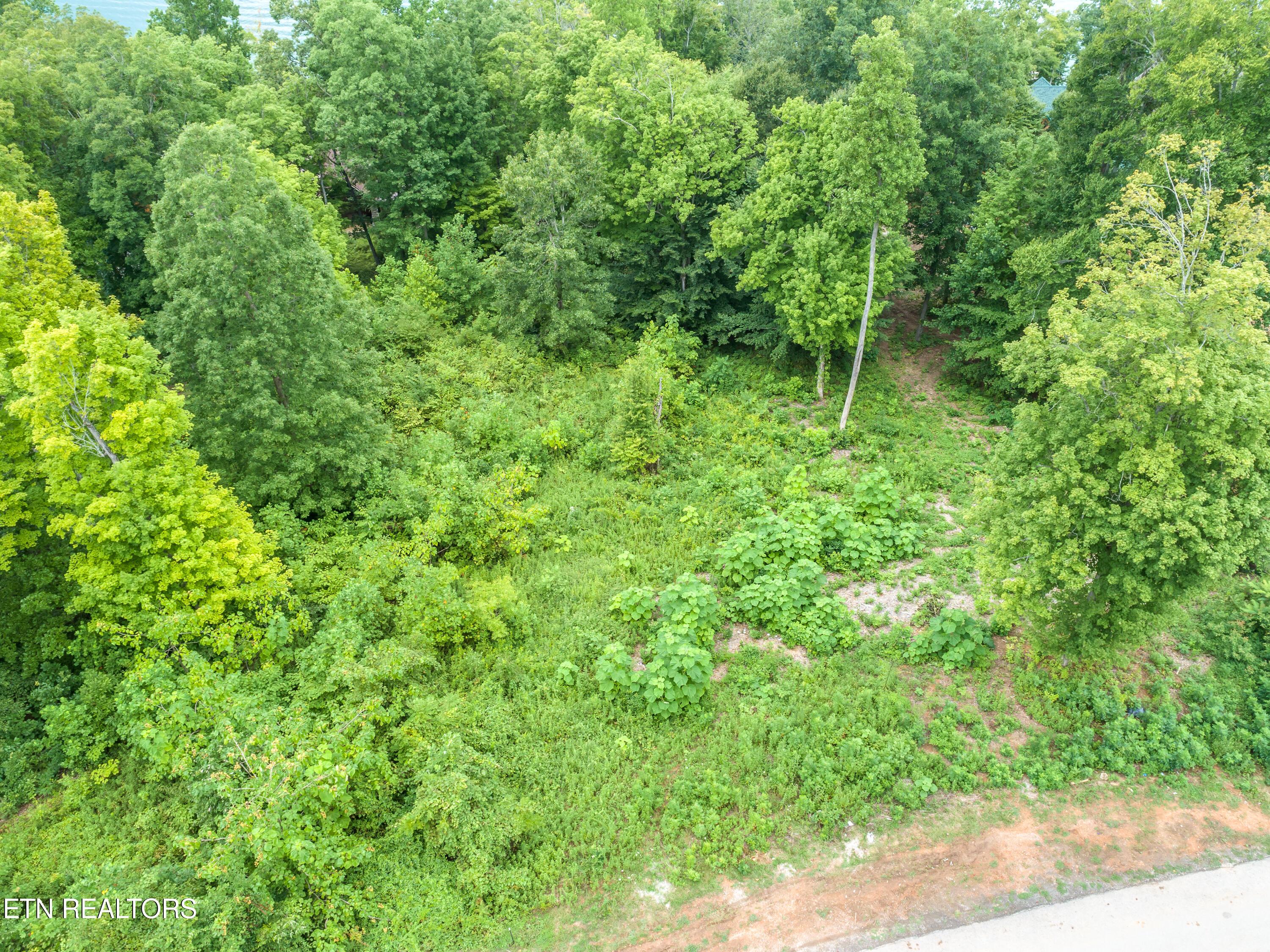 Norris Lake Real Estate - Image# 6