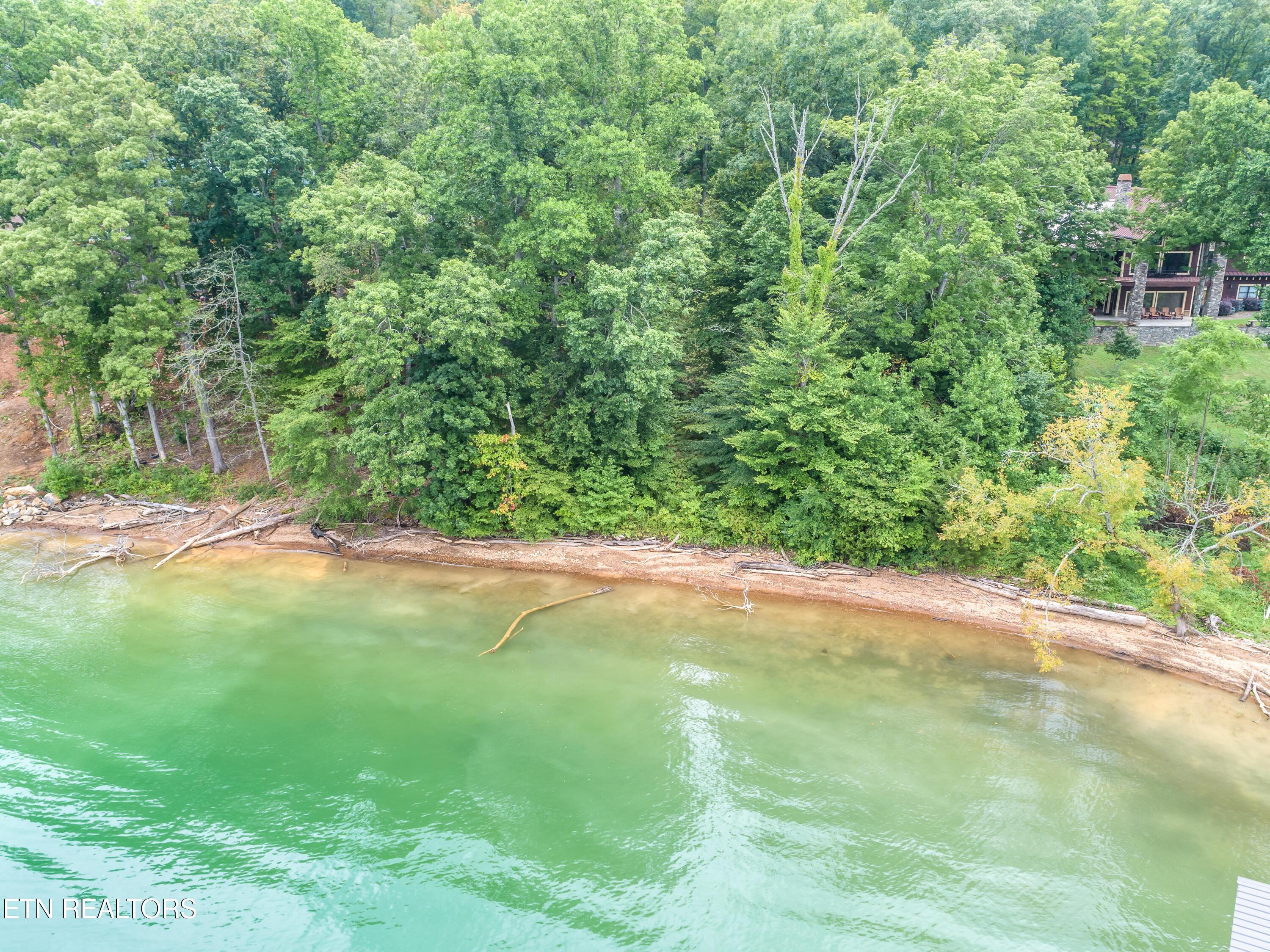 Norris Lake Real Estate - Image# 11