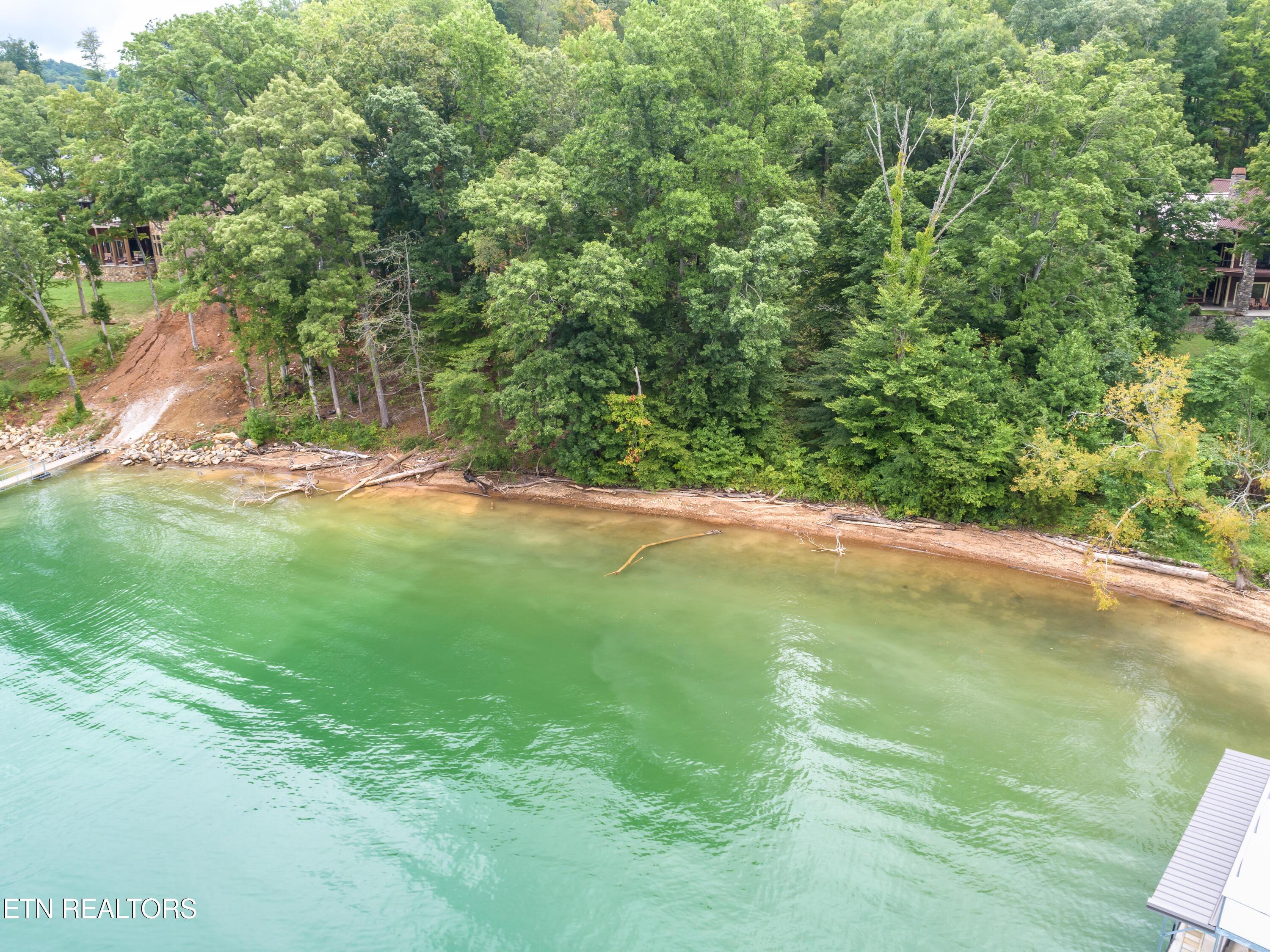 Norris Lake Real Estate - Image# 2