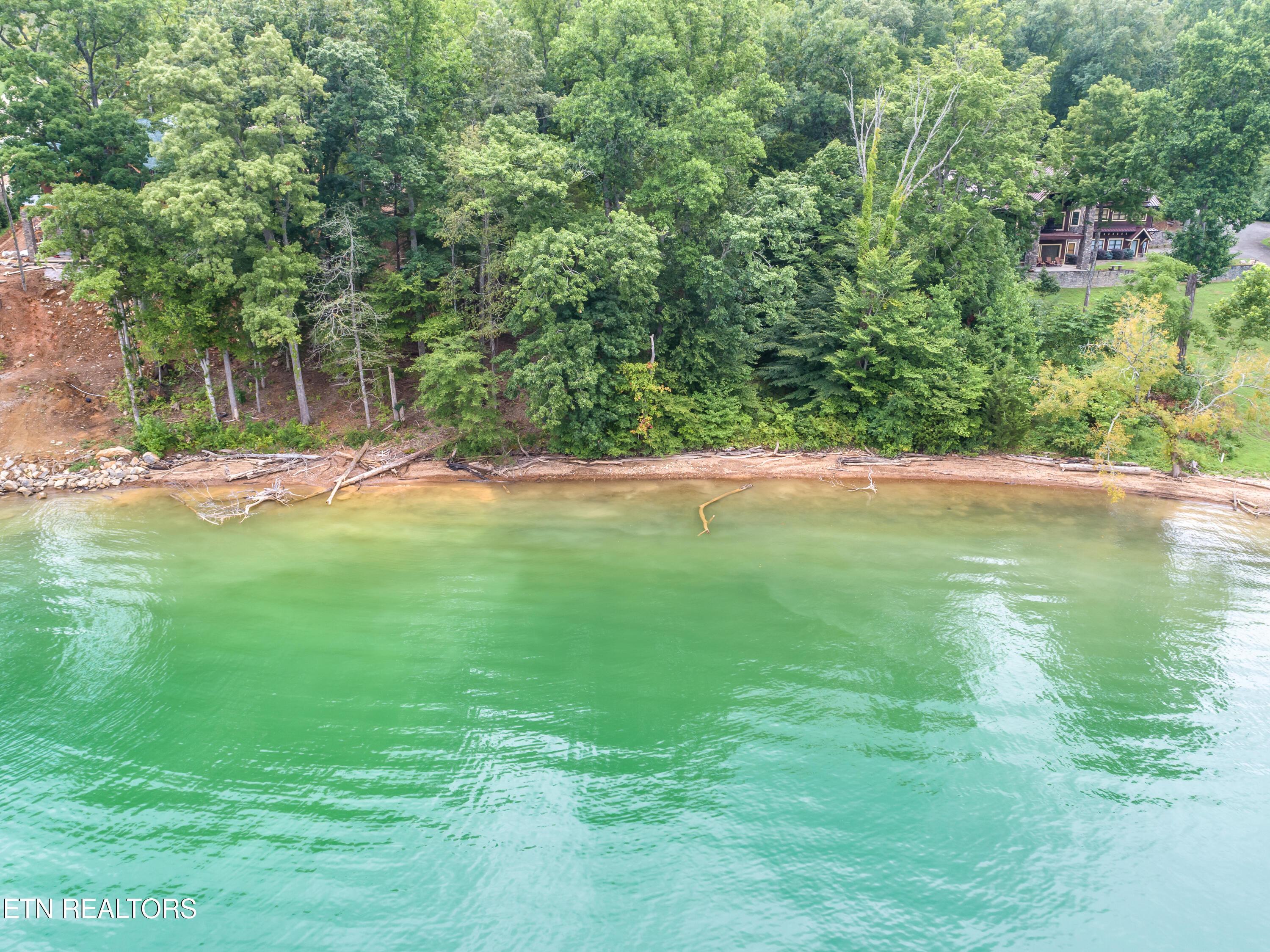 Norris Lake Real Estate - Image# 12