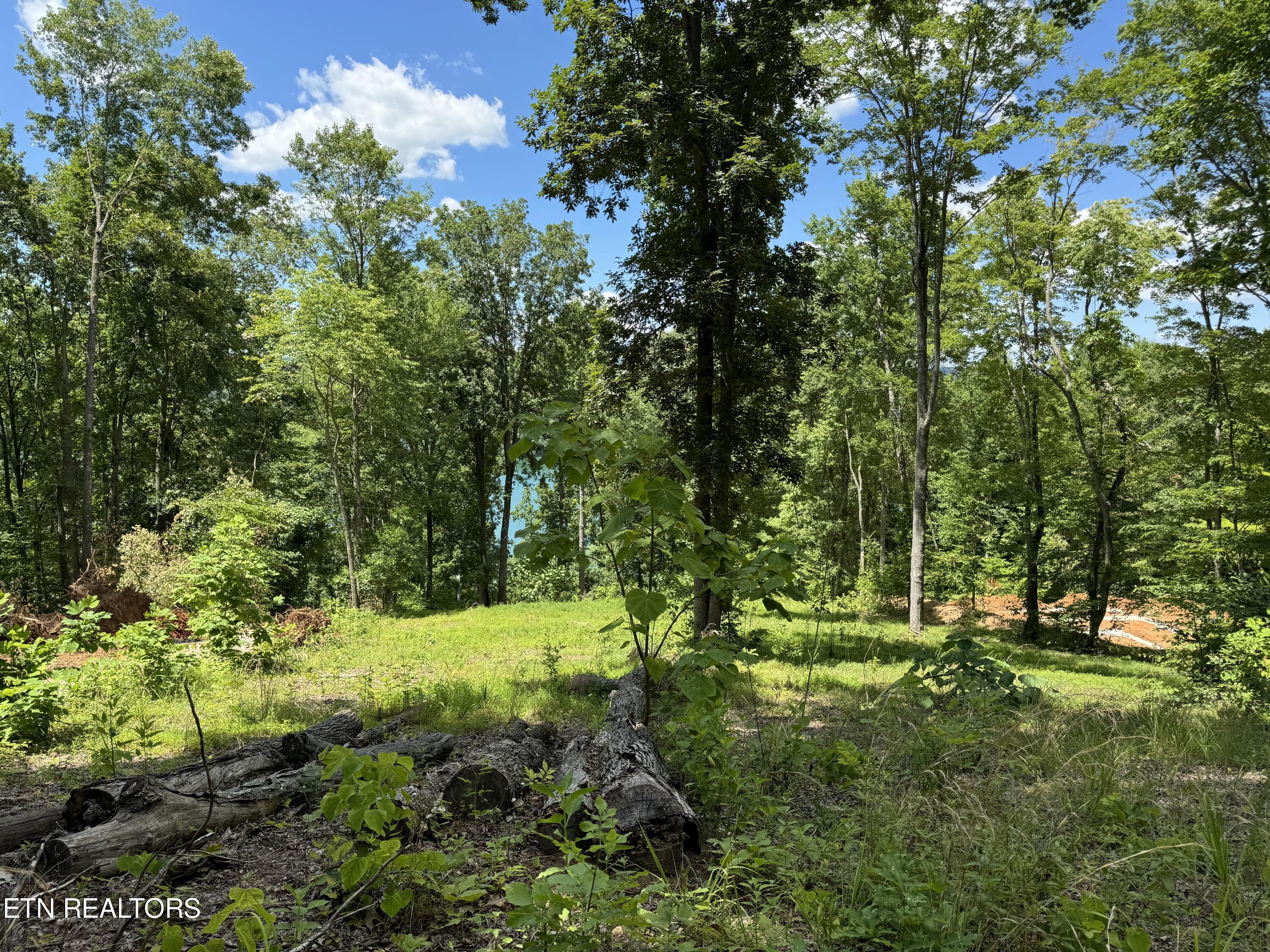 Norris Lake Real Estate - Image# 12