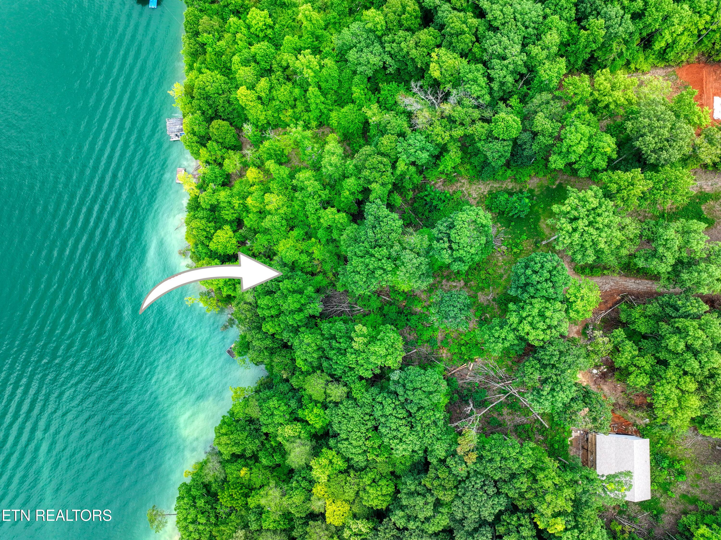 Norris Lake Real Estate - Image# 3