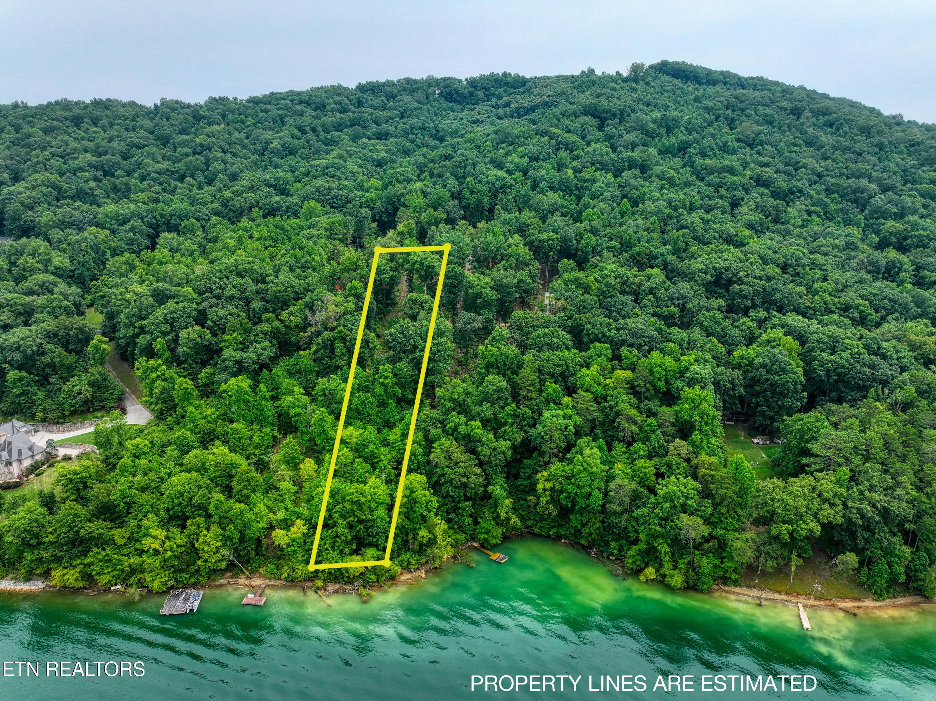 Norris Lake Real Estate - Image# 5