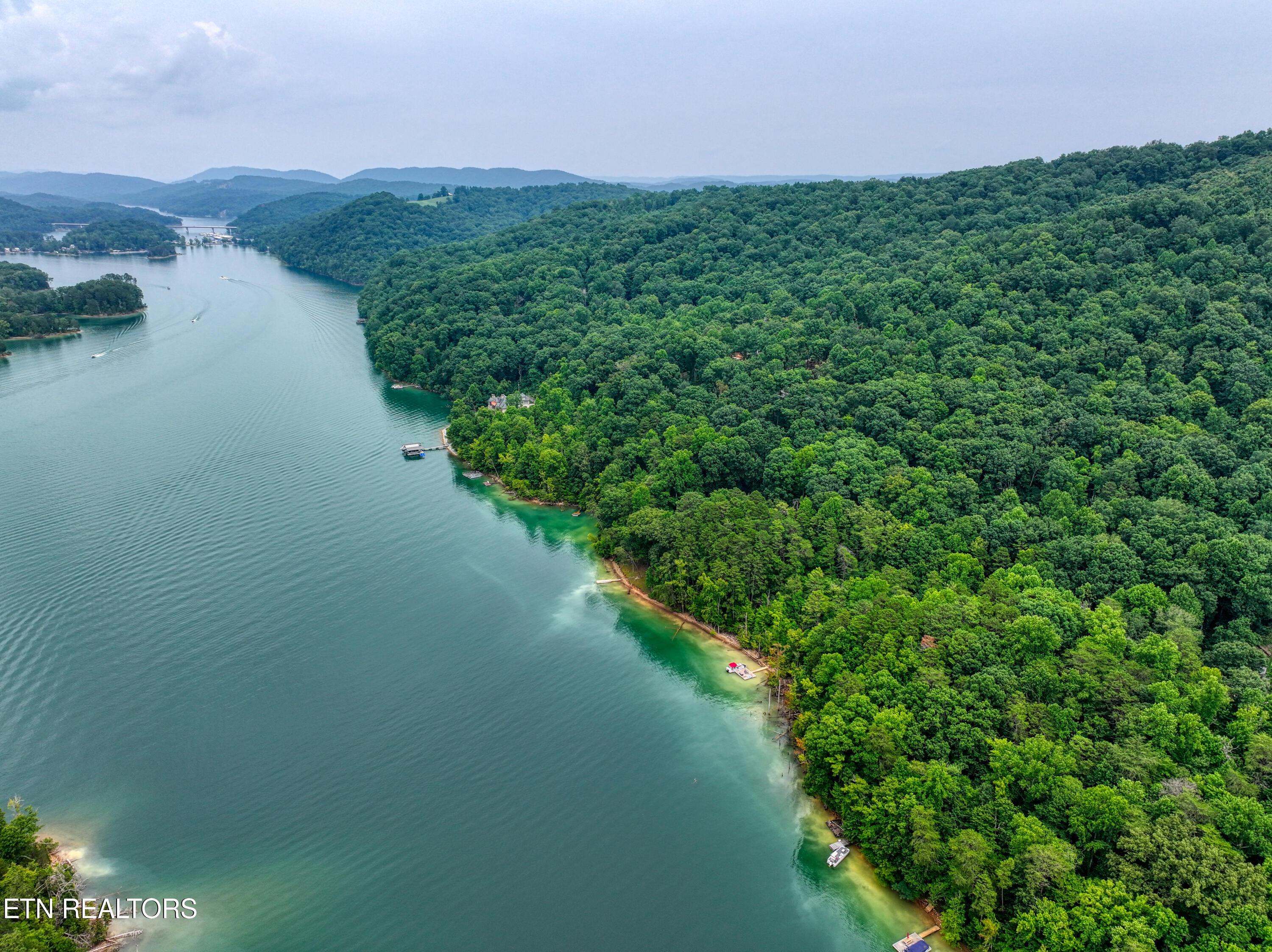 Norris Lake Real Estate - Image# 6