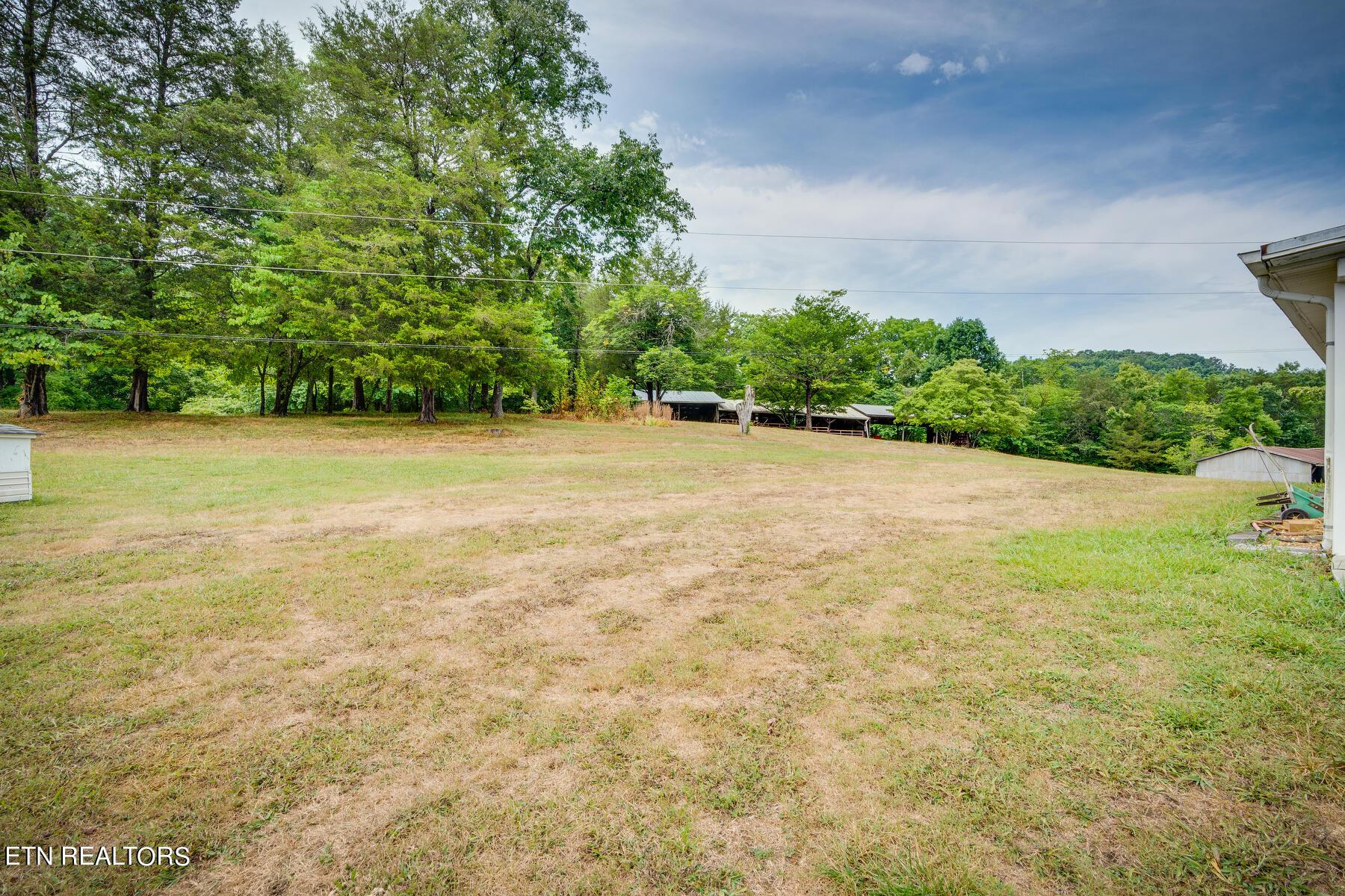 Norris Lake Real Estate - Image# 22