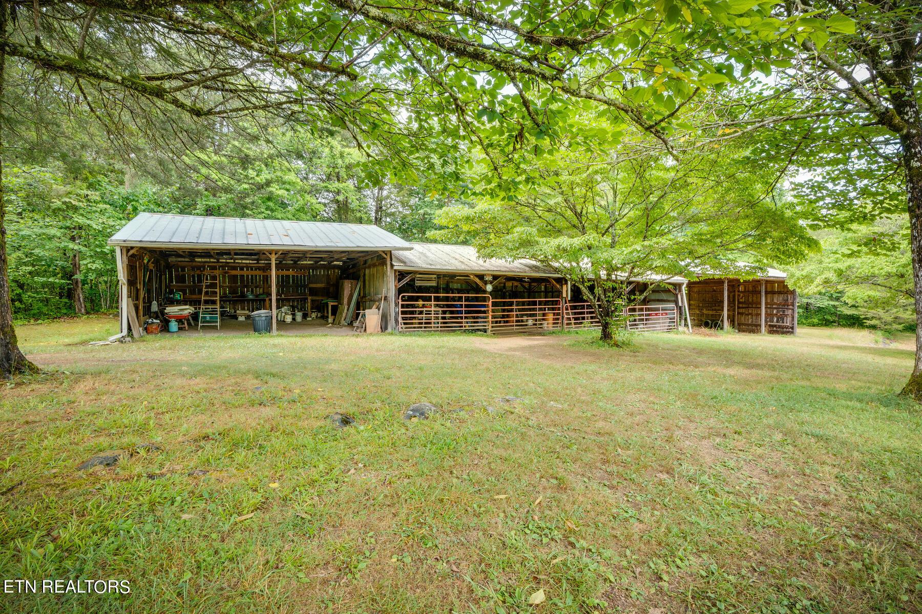 Norris Lake Real Estate - Image# 26