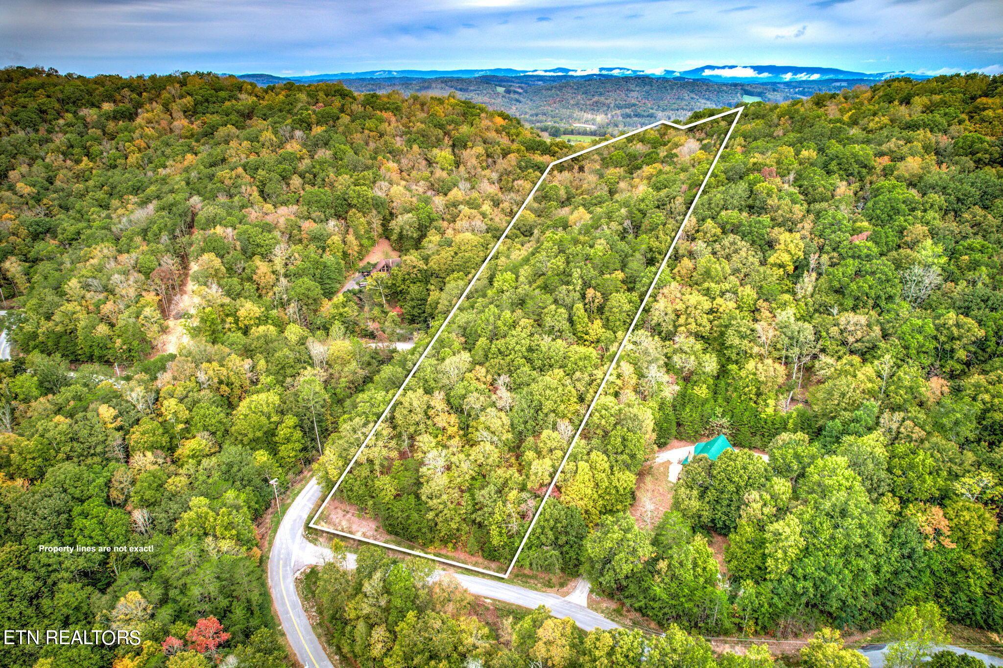 Norris Lake Real Estate - Image# 6