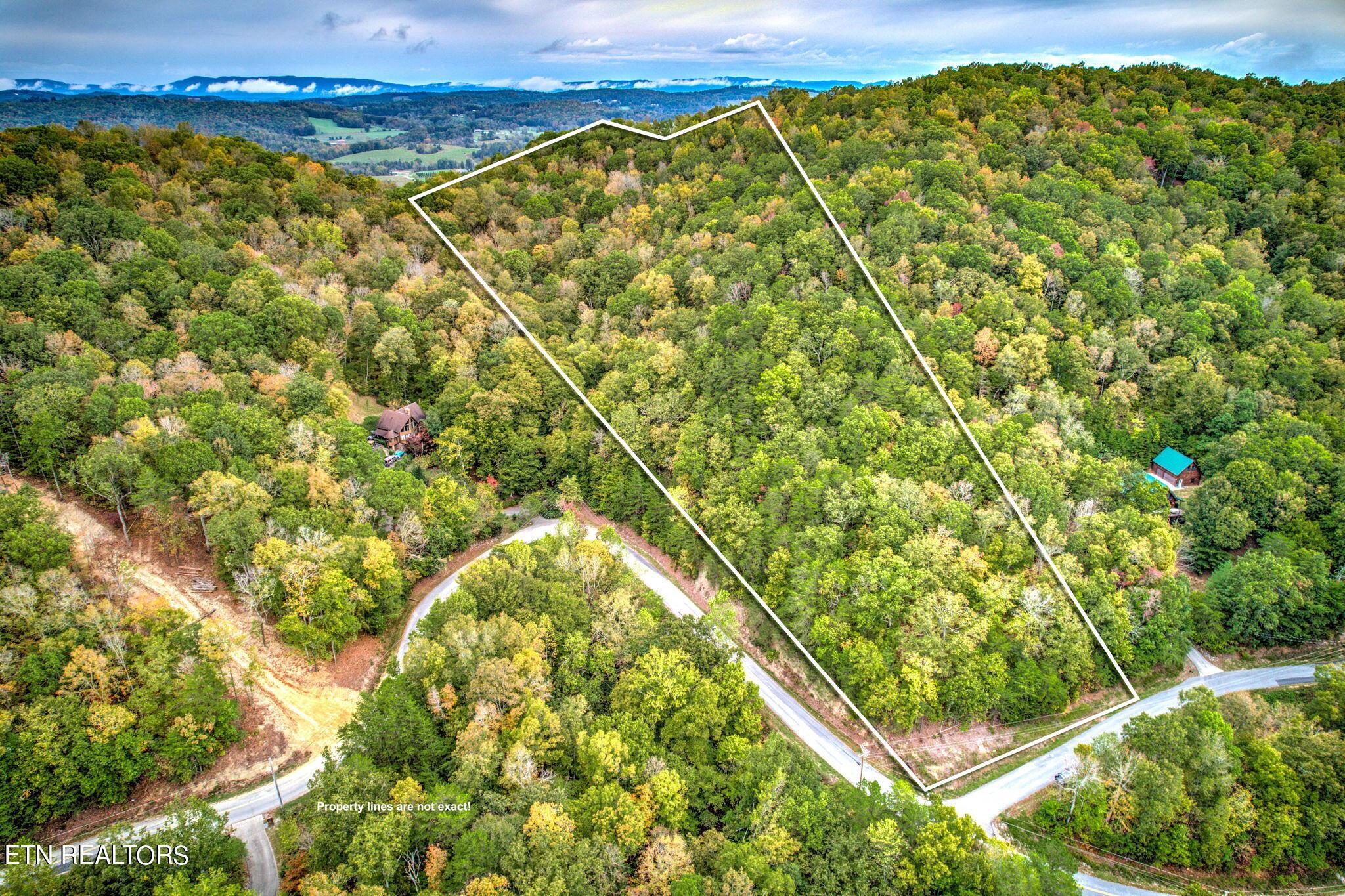 Norris Lake Real Estate - Image# 10