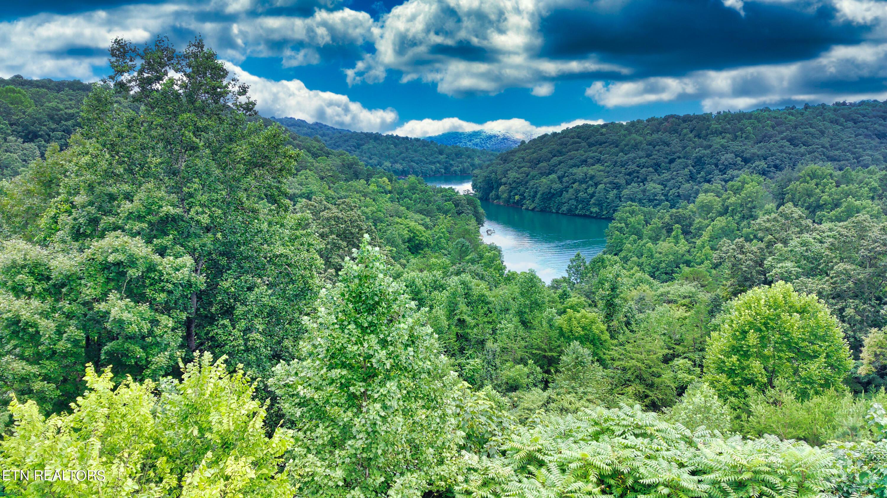 Norris Lake Real Estate - Image# 5