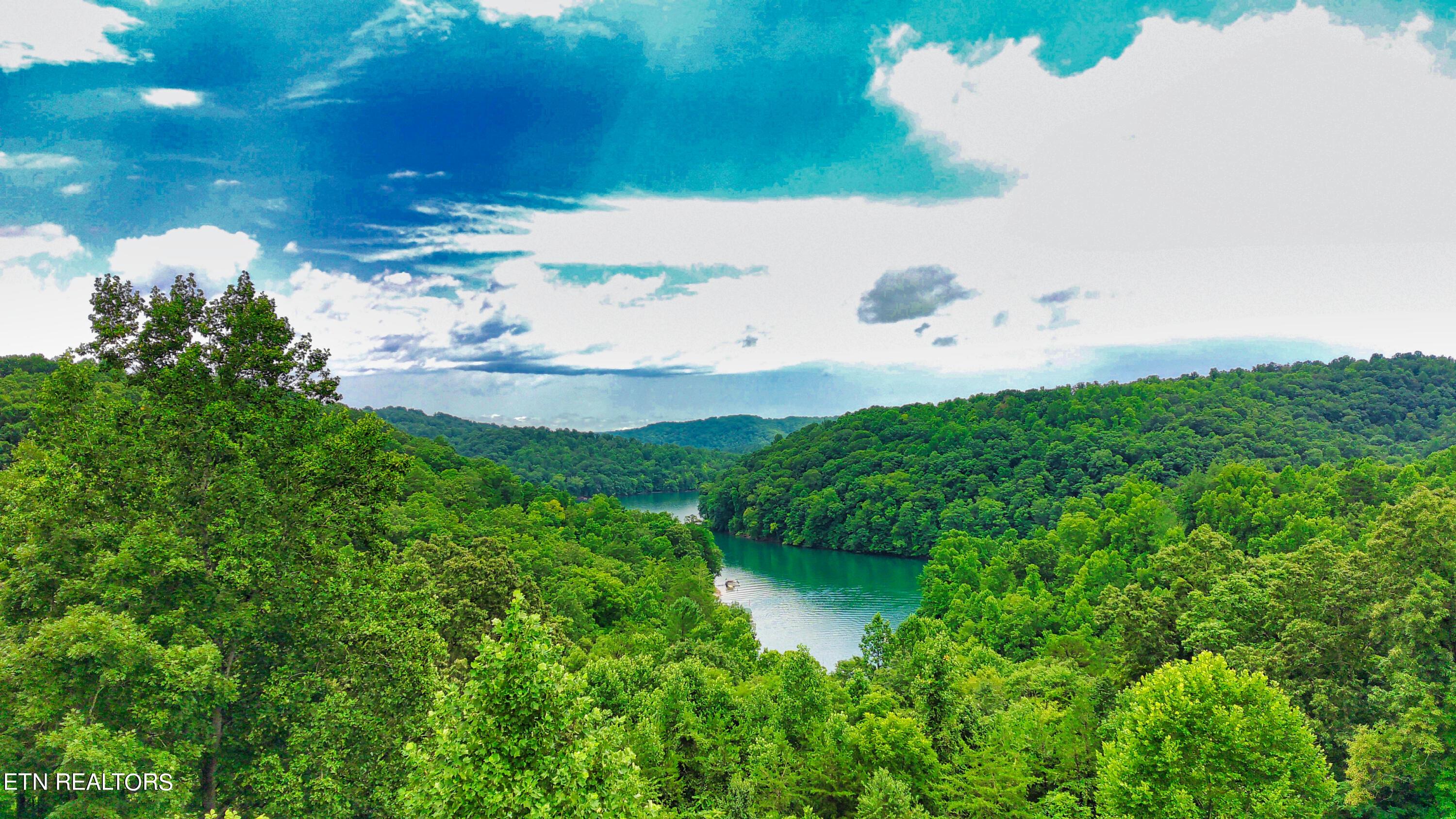 Norris Lake Real Estate - Image# 6