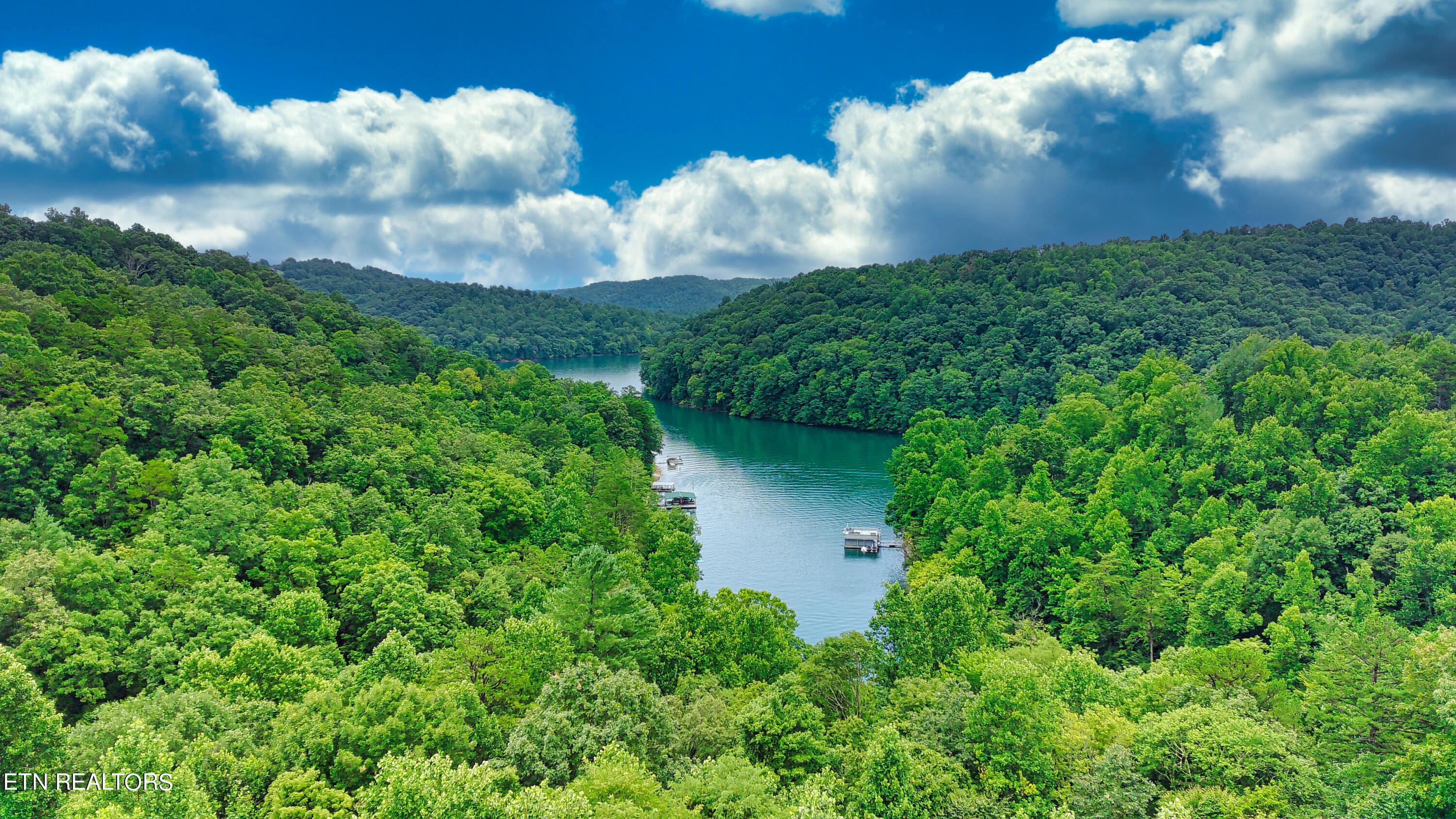 Norris Lake Real Estate - Image# 7