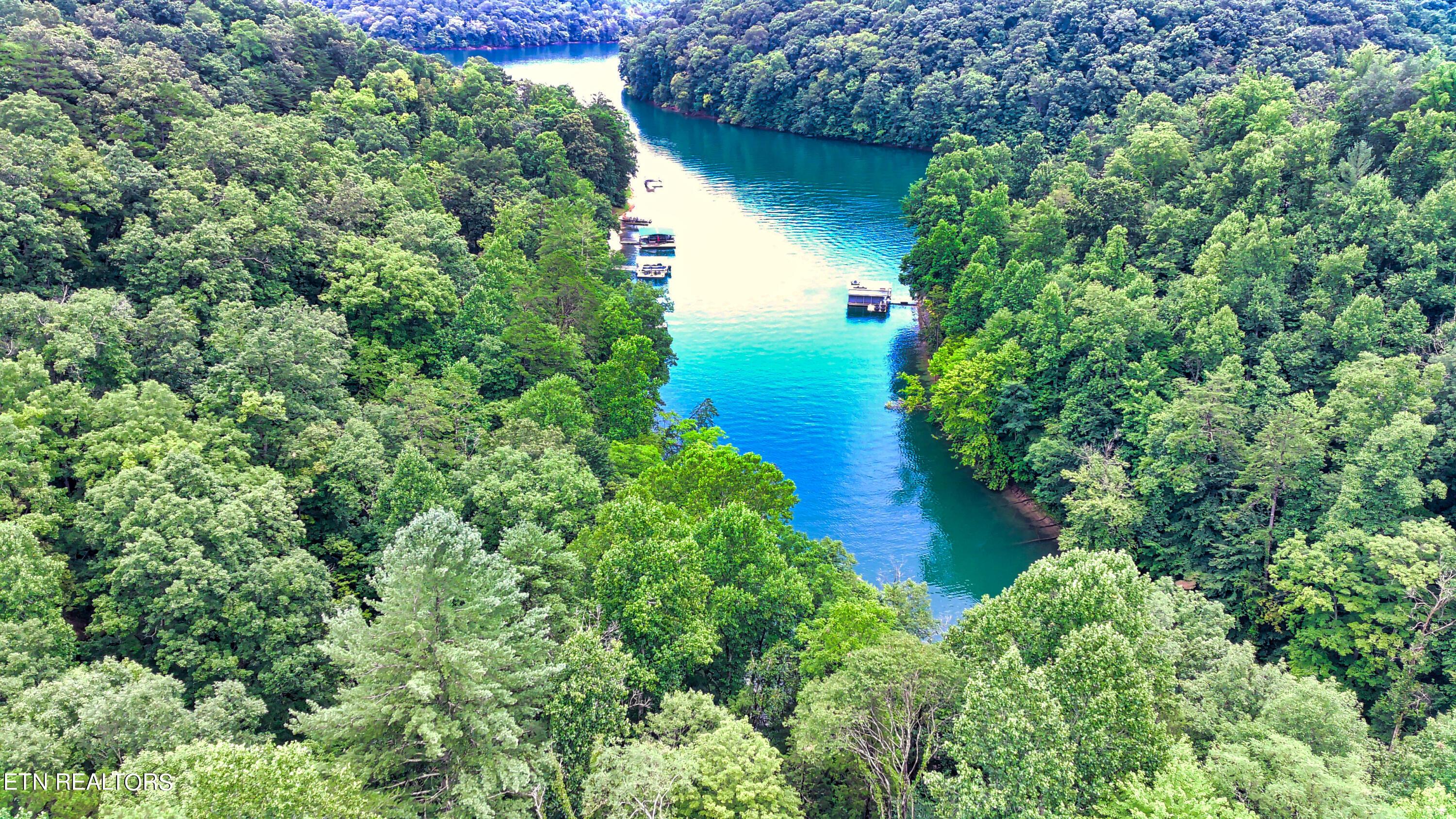 Norris Lake Real Estate - Image# 8