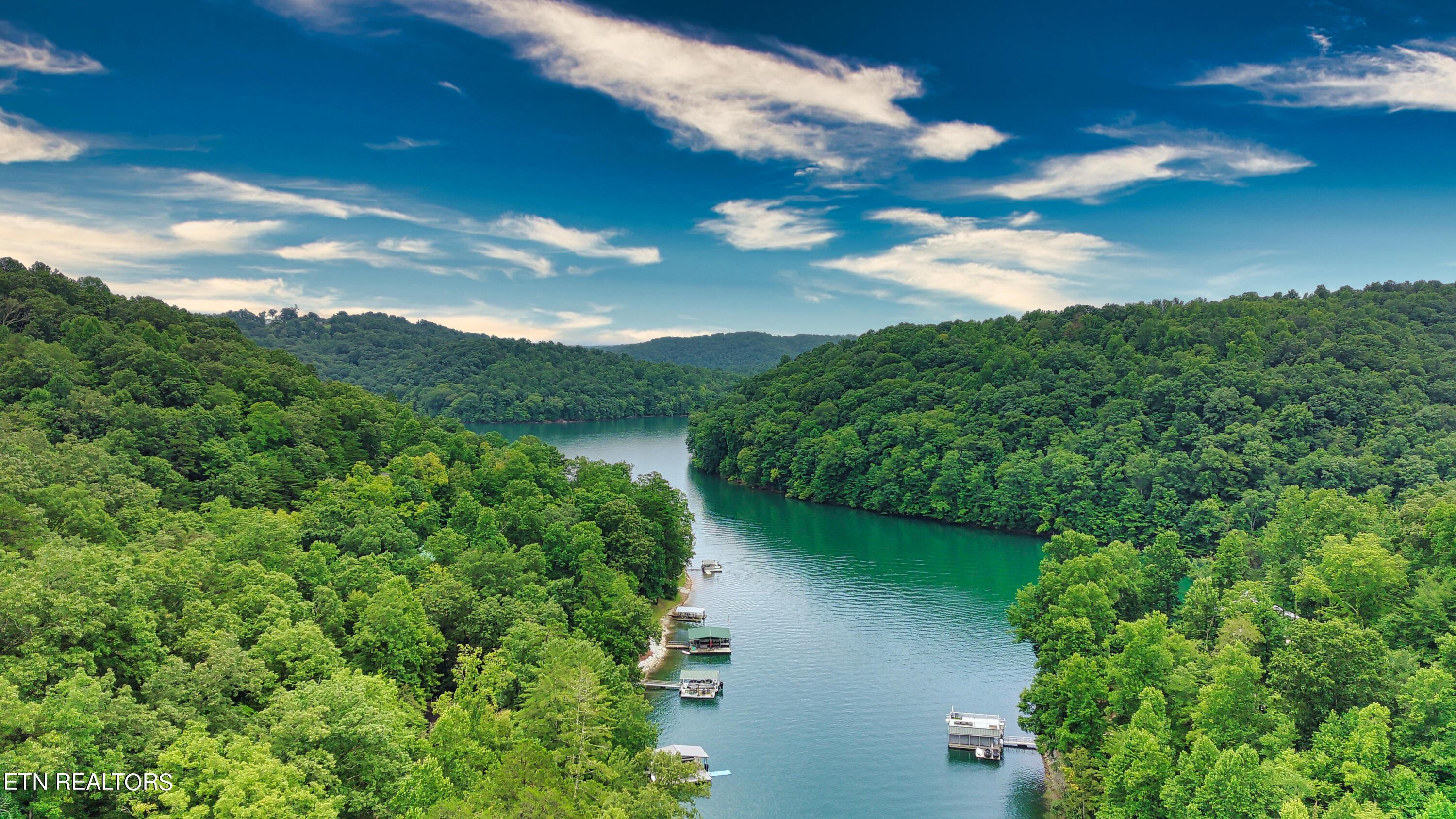 Norris Lake Real Estate - Image# 9