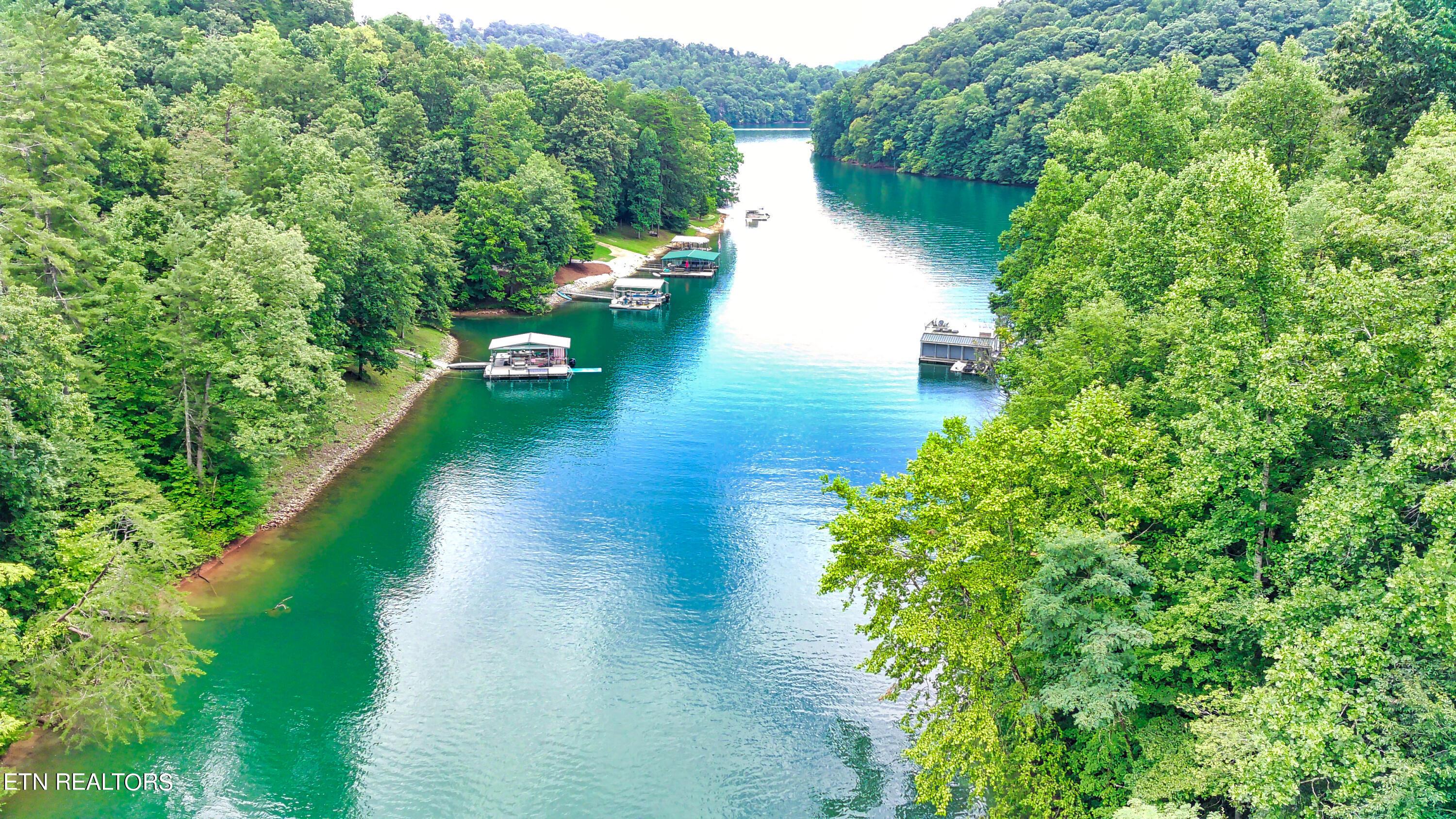 Norris Lake Real Estate - Image# 3