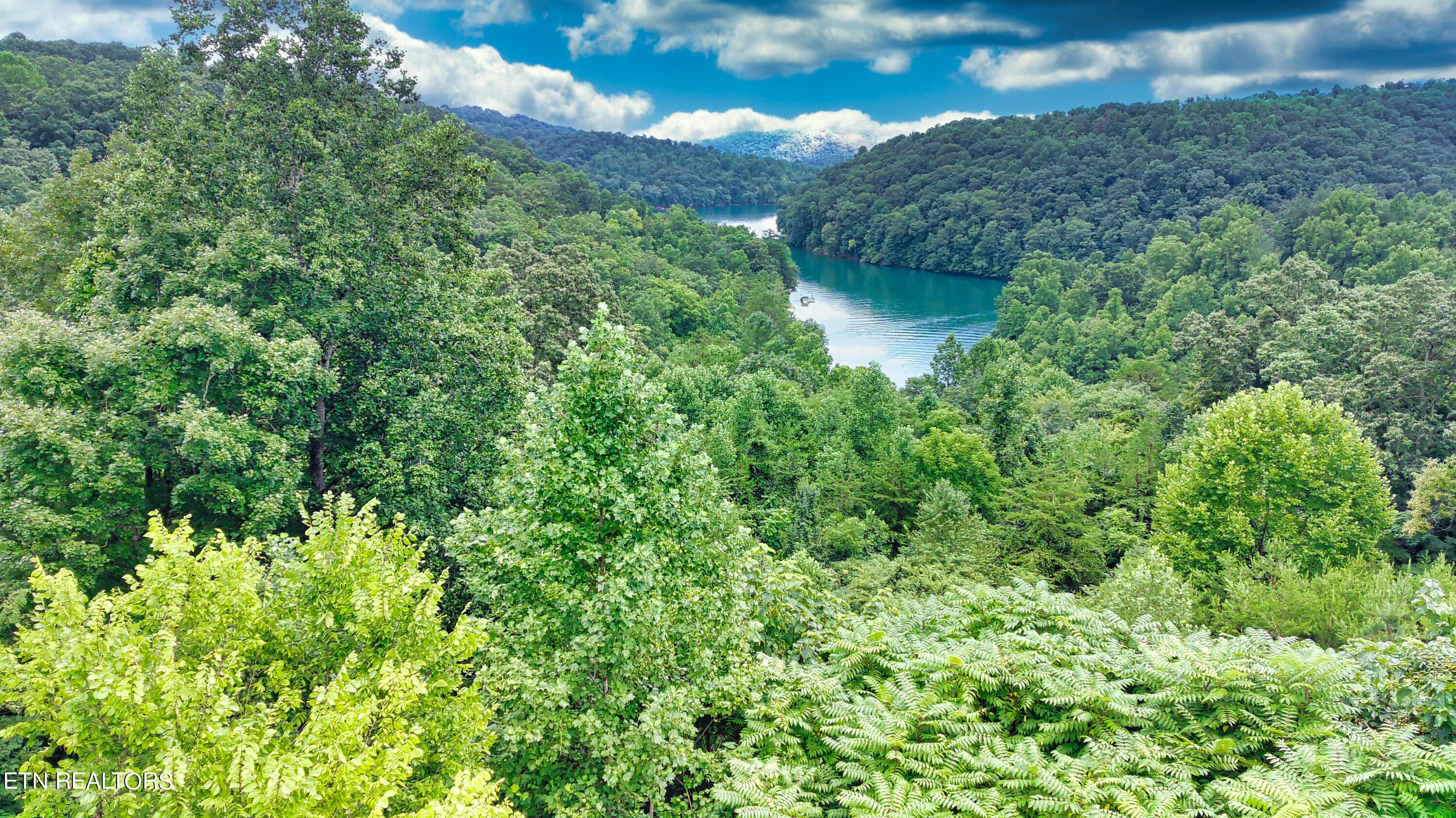 Norris Lake Real Estate - Image# 1