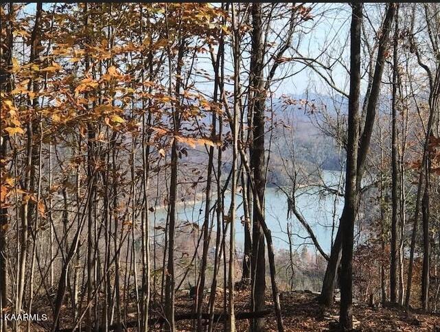 Norris Lake Real Estate - Image# 1