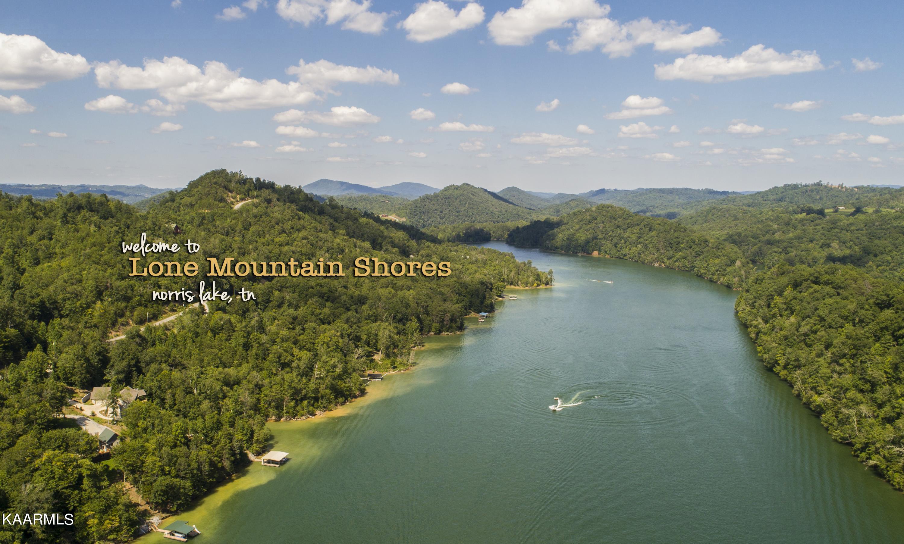 Norris Lake Real Estate - Image# 6