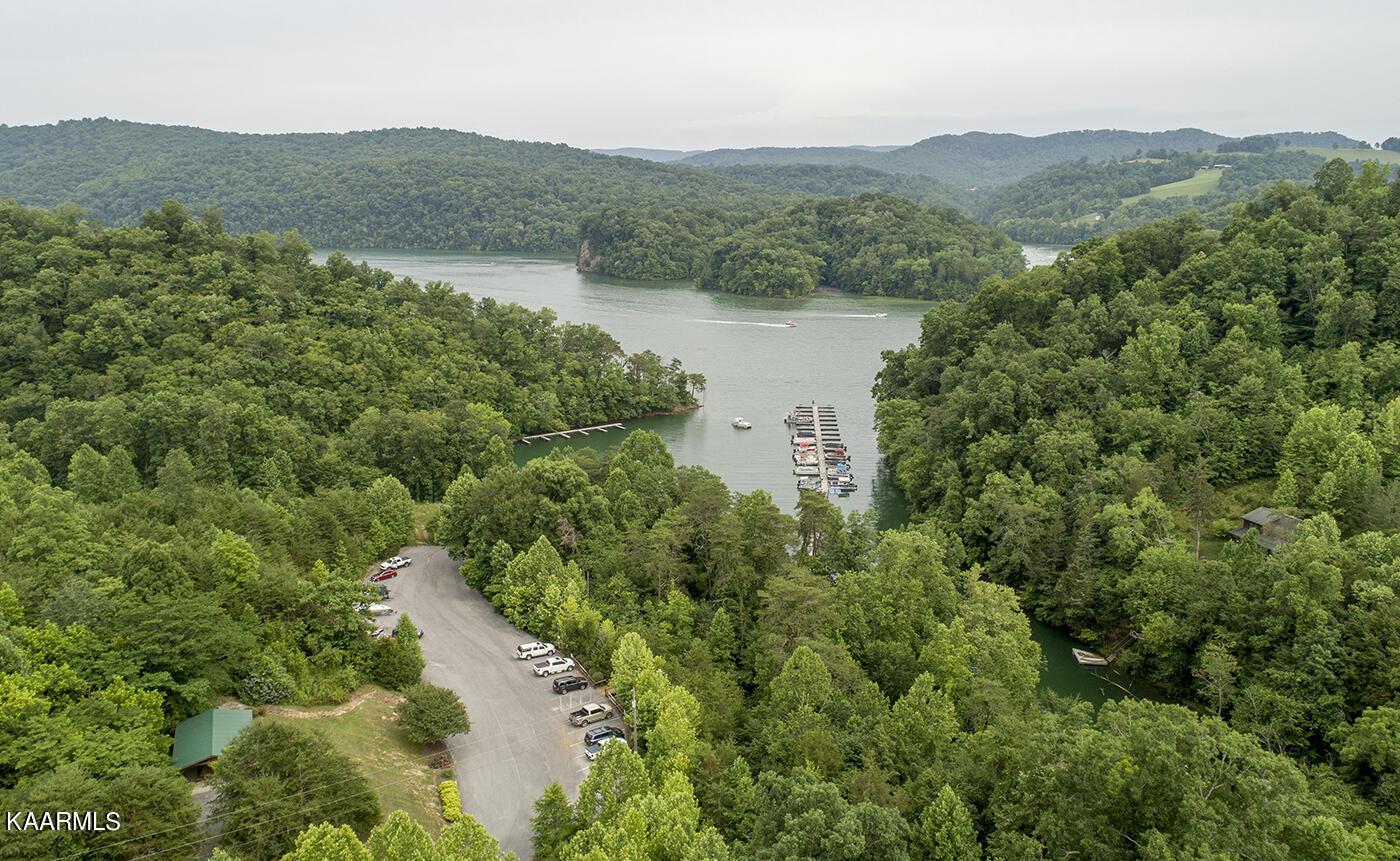 Norris Lake Real Estate - Image# 9