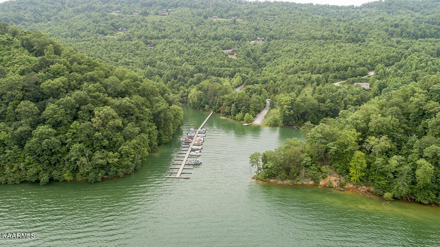 Norris Lake Real Estate - Image# 10