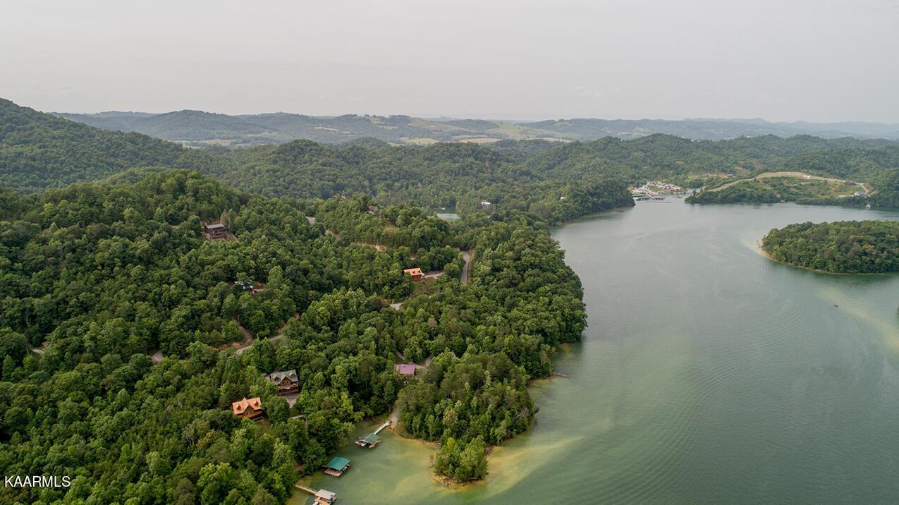 Norris Lake Real Estate - Image# 11