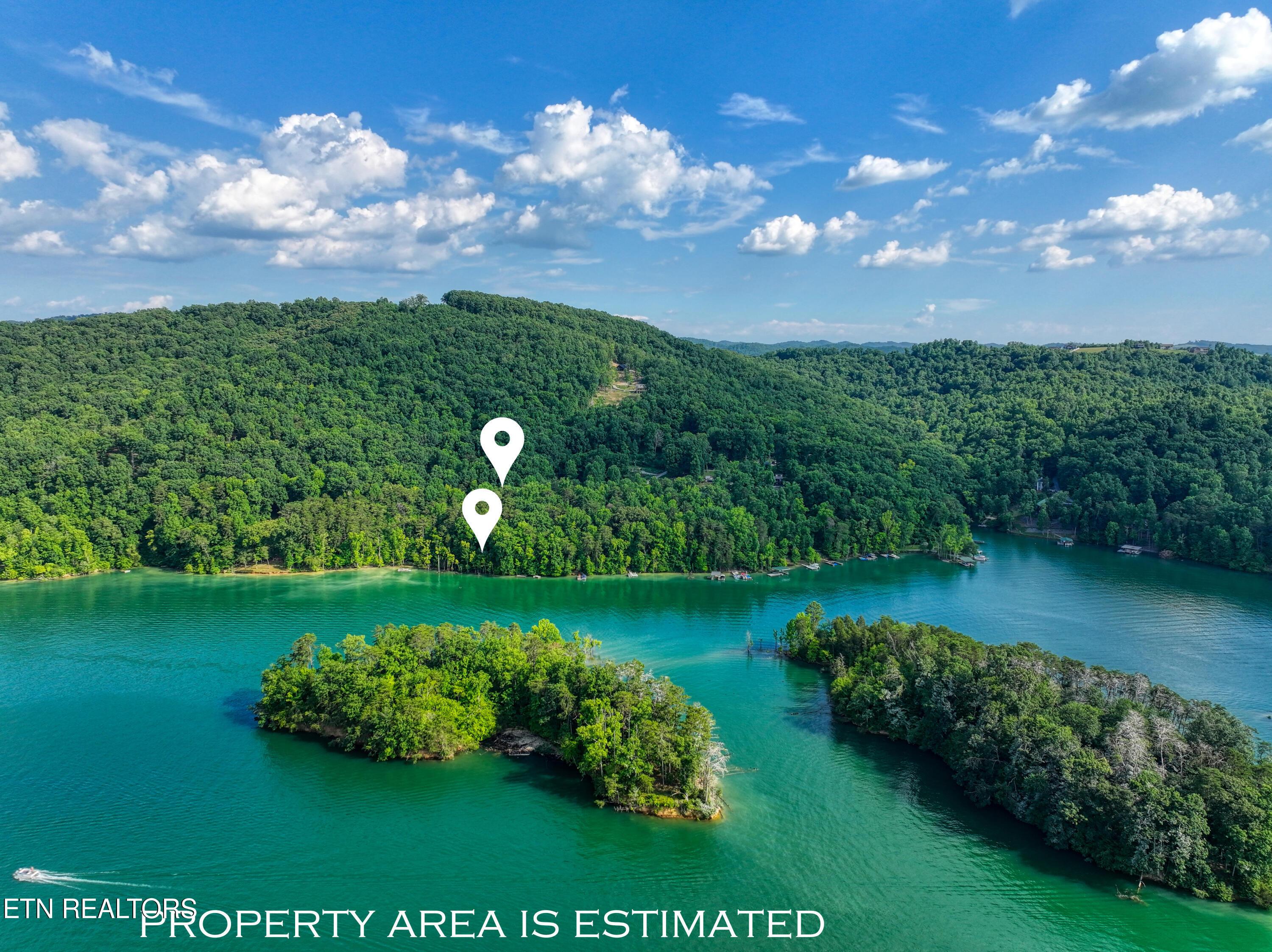 Norris Lake Real Estate - Image# 15