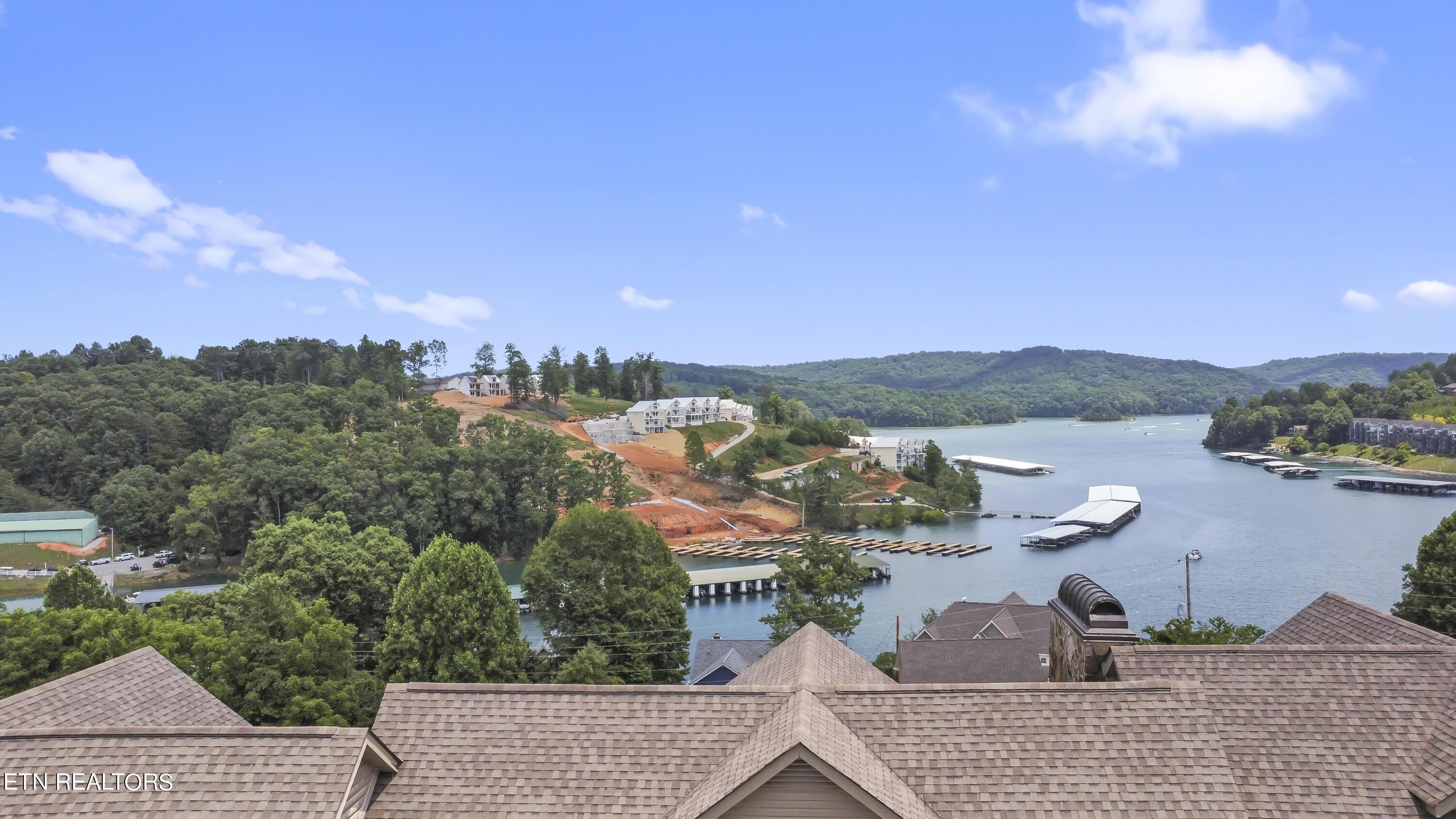 Norris Lake Real Estate - Image# 6