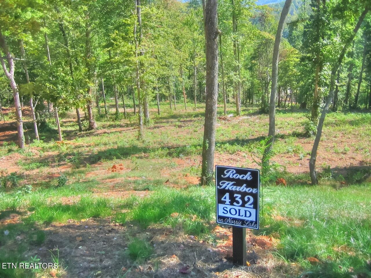 Norris Lake Real Estate - Image# 1