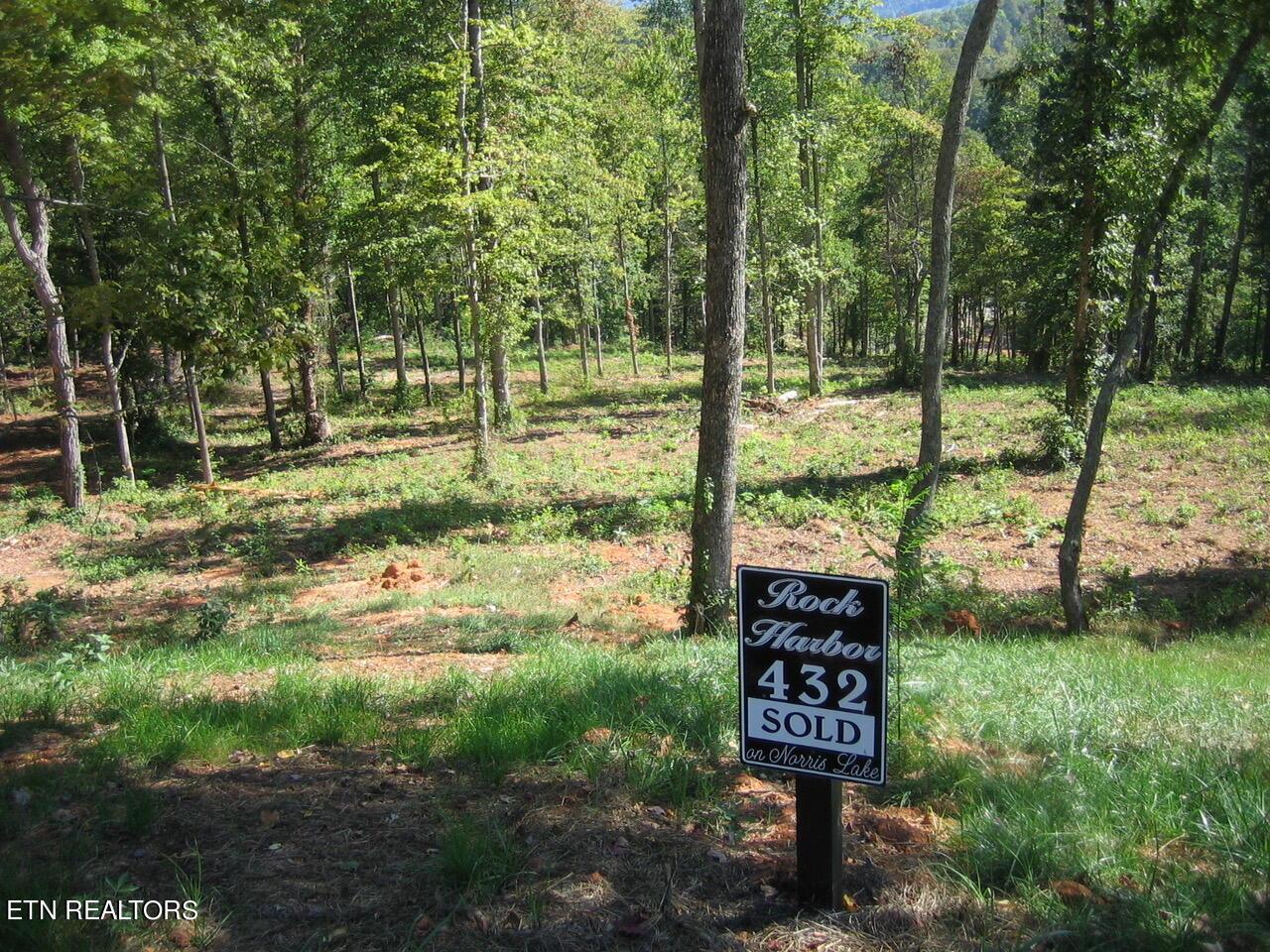 Norris Lake Real Estate - Image# 4