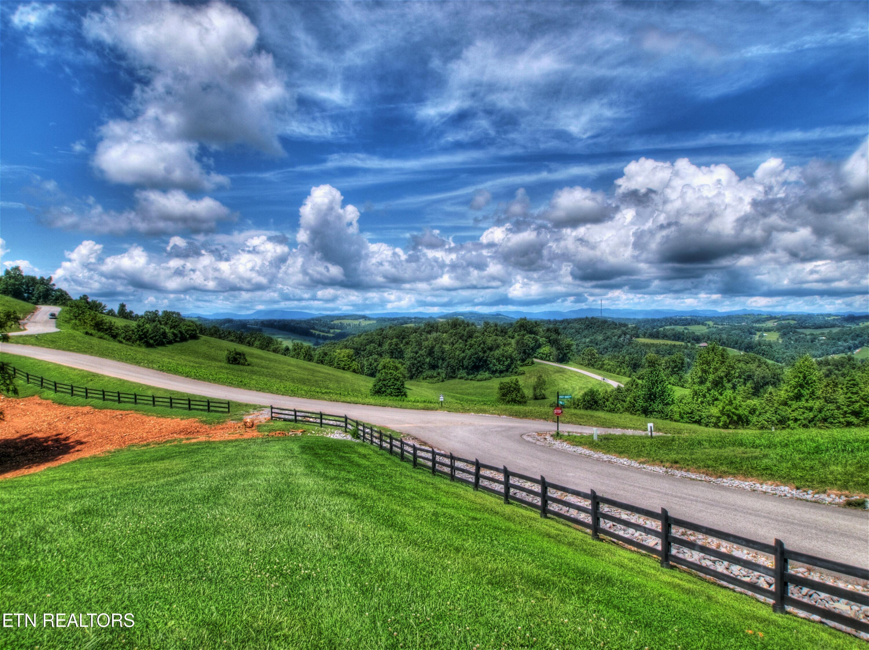 Norris Lake Real Estate - Image# 15