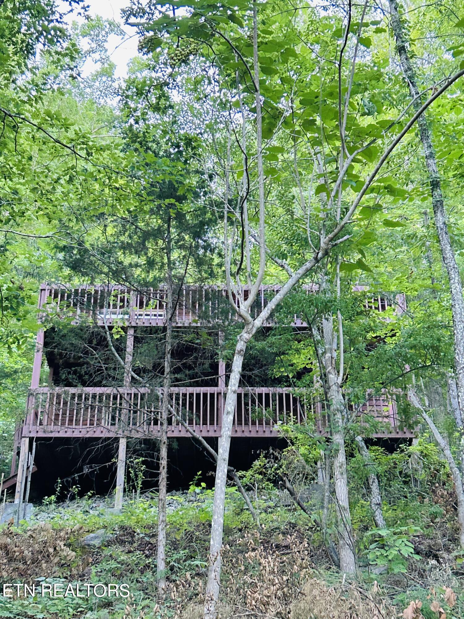 Norris Lake Real Estate - Image# 1