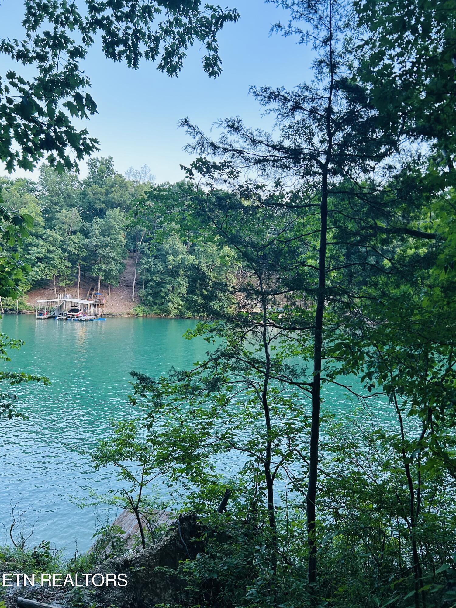 Norris Lake Real Estate - Image# 5