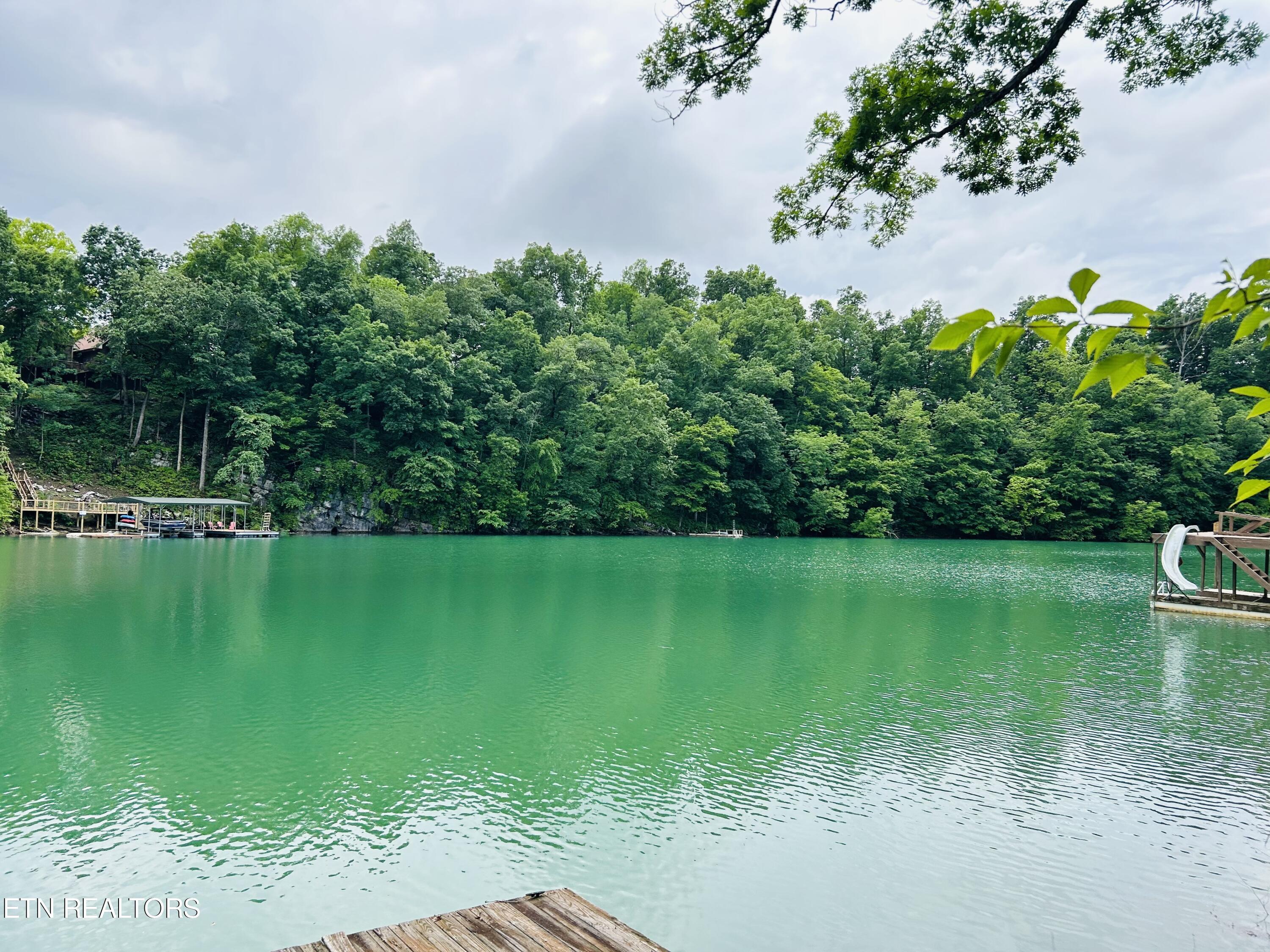 Norris Lake Real Estate - Image# 20