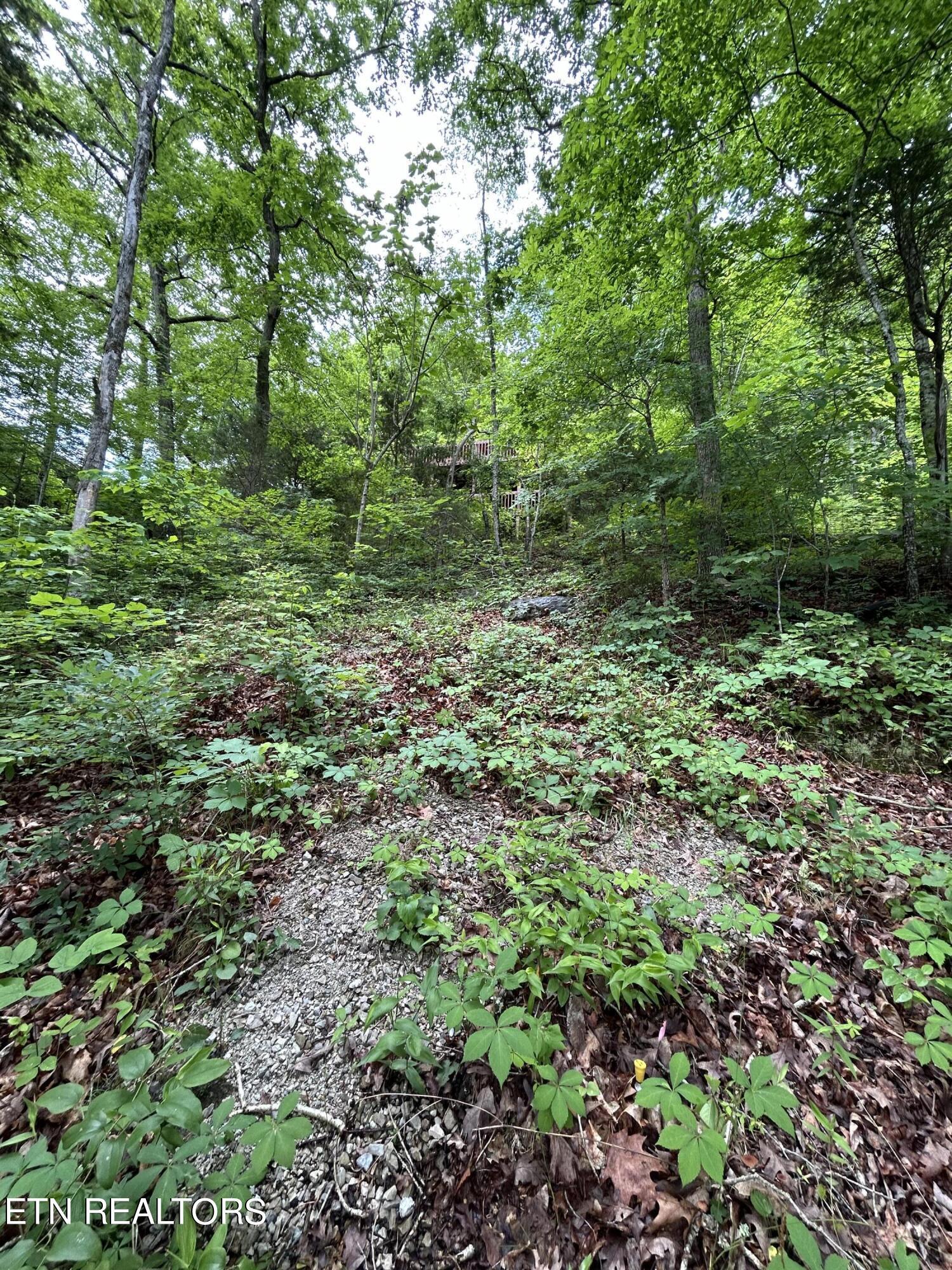 Norris Lake Real Estate - Image# 21