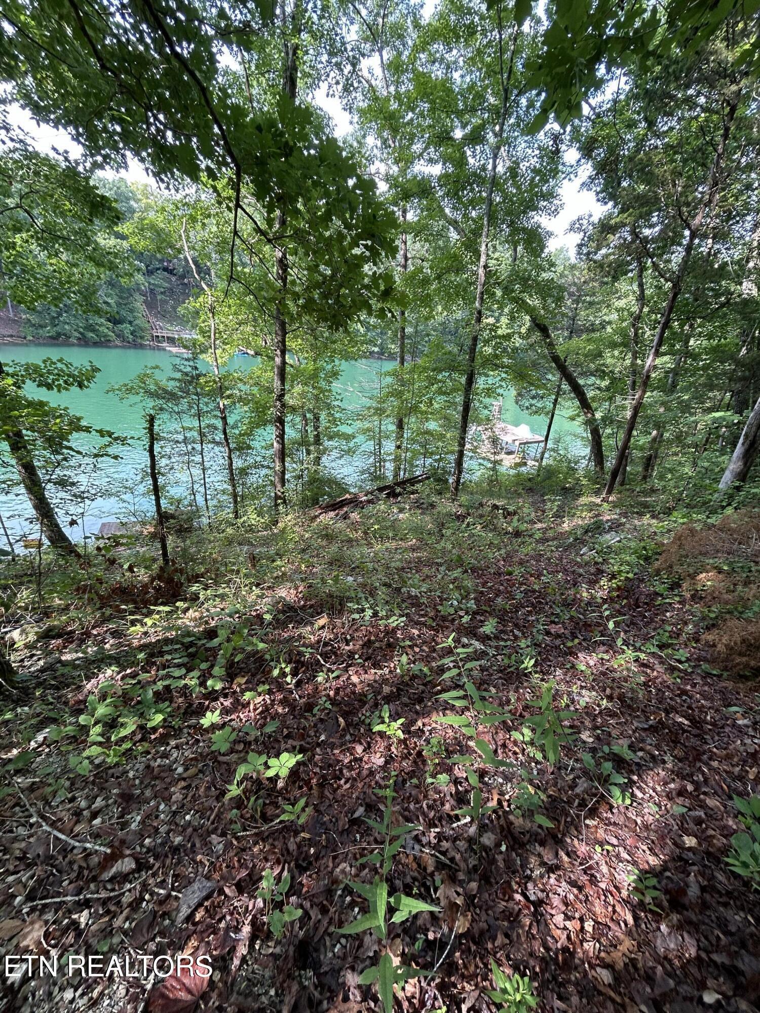 Norris Lake Real Estate - Image# 24