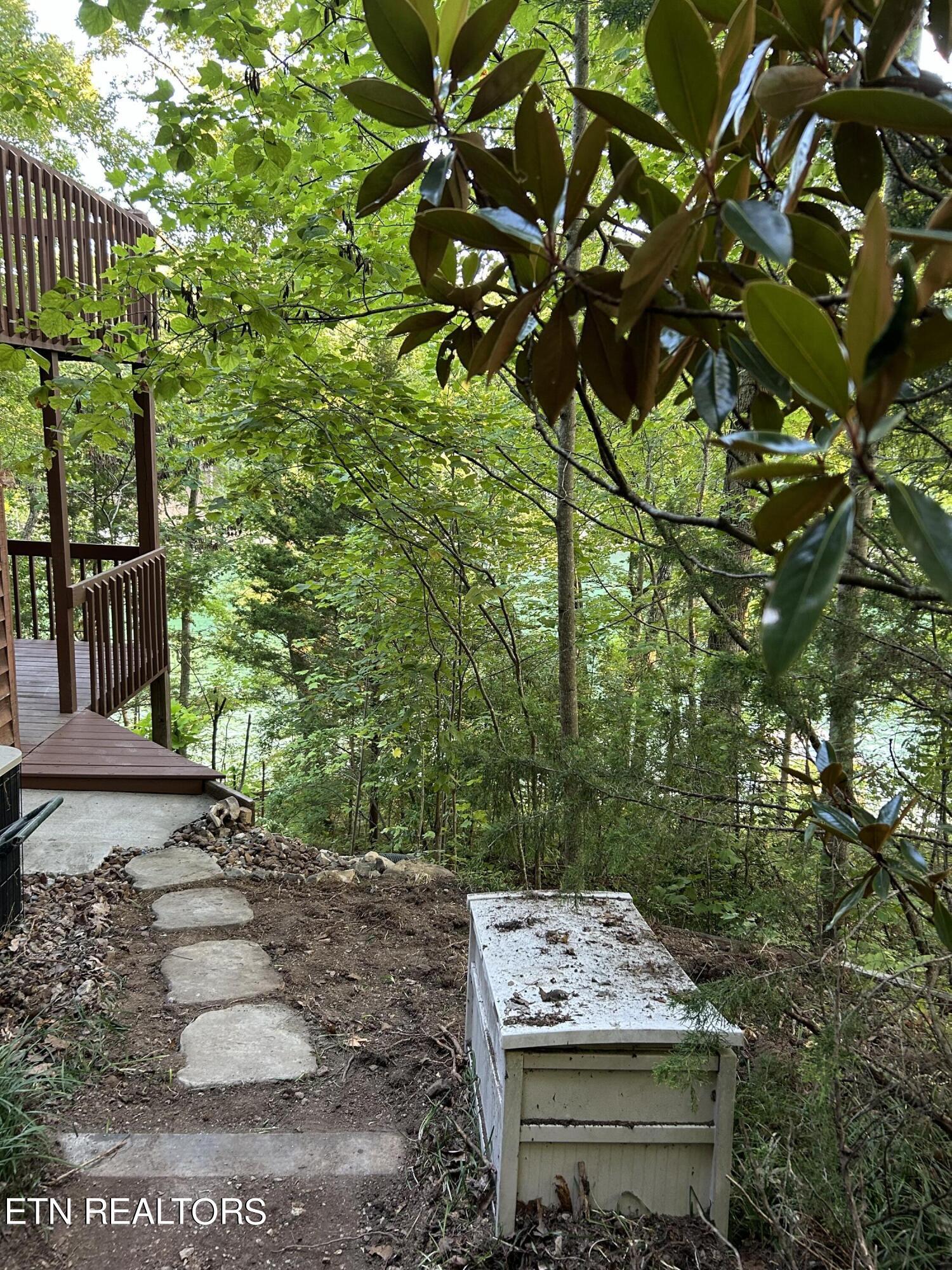 Norris Lake Real Estate - Image# 8