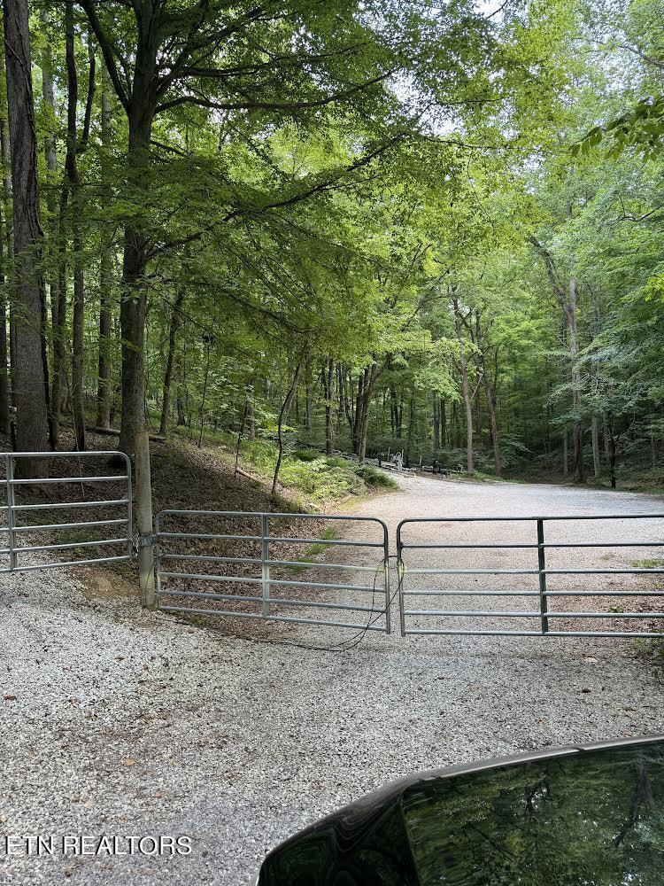 Norris Lake Real Estate - Image# 5