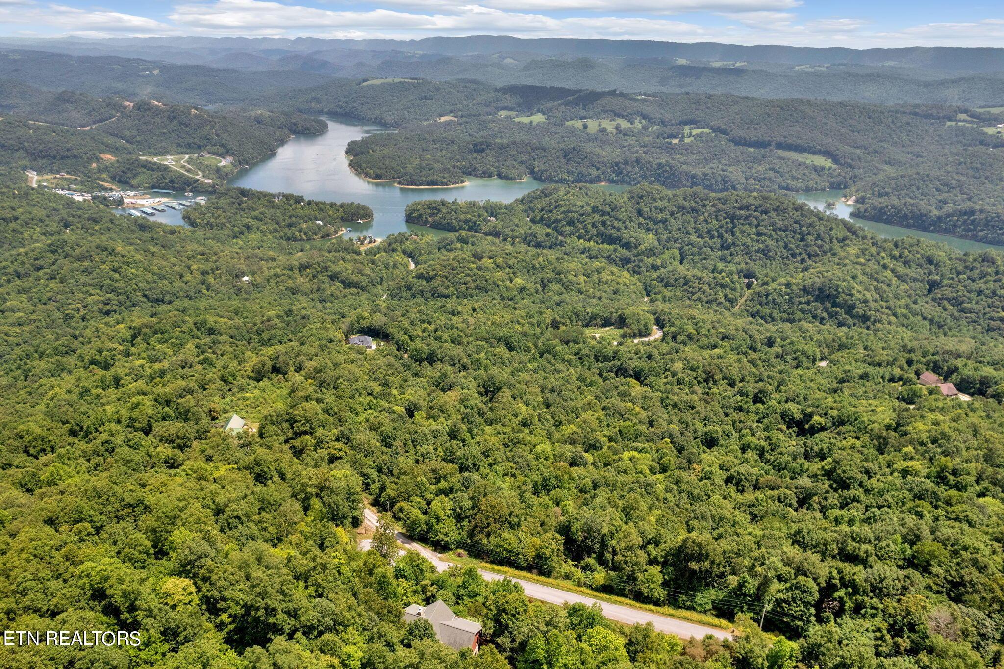 Norris Lake Real Estate - Image# 68