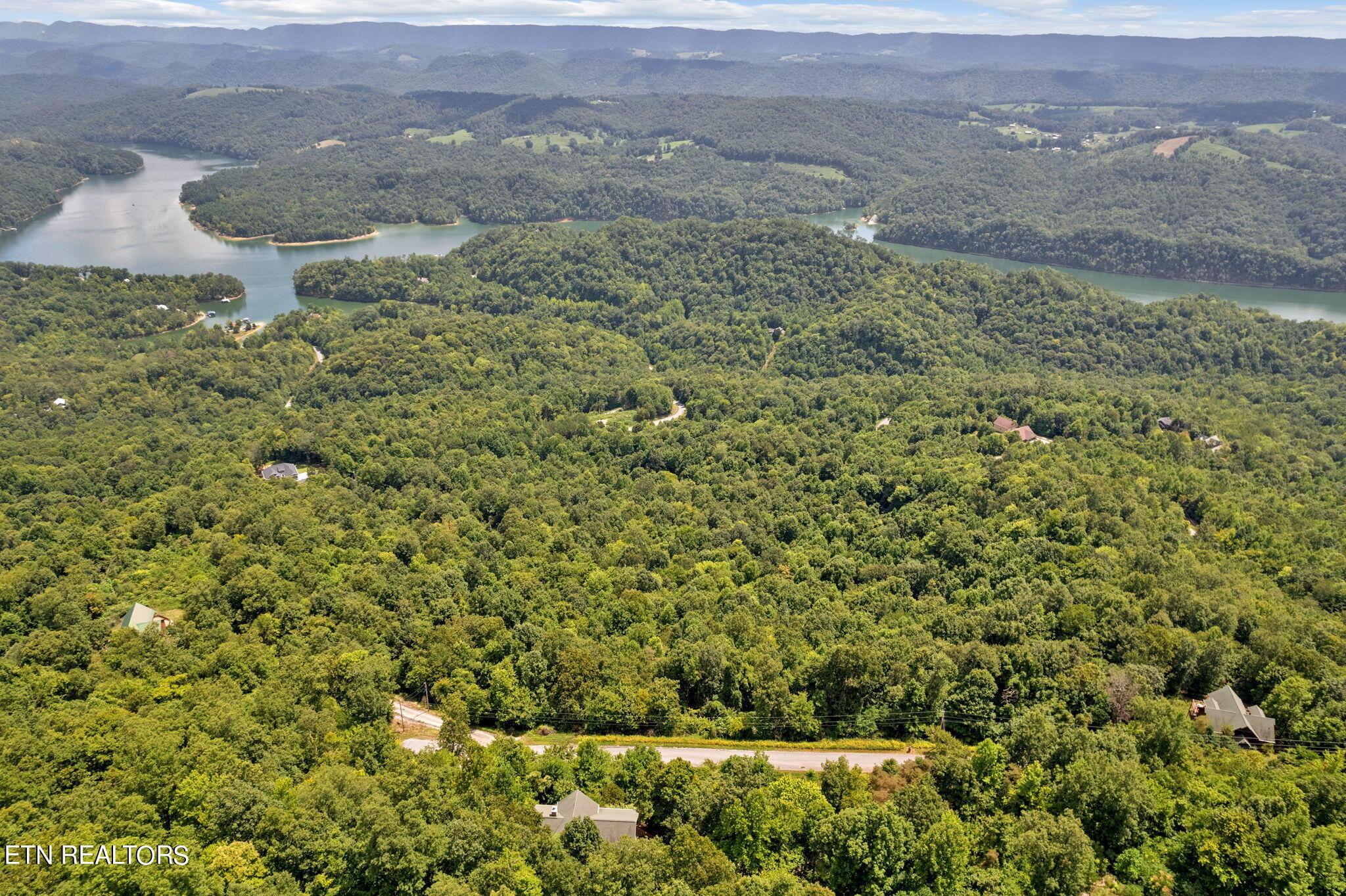 Norris Lake Real Estate - Image# 74