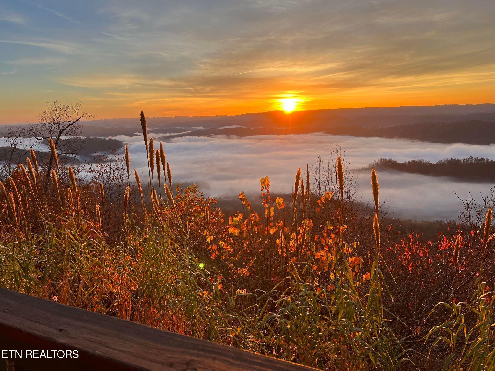 Norris Lake Real Estate - Image# 3