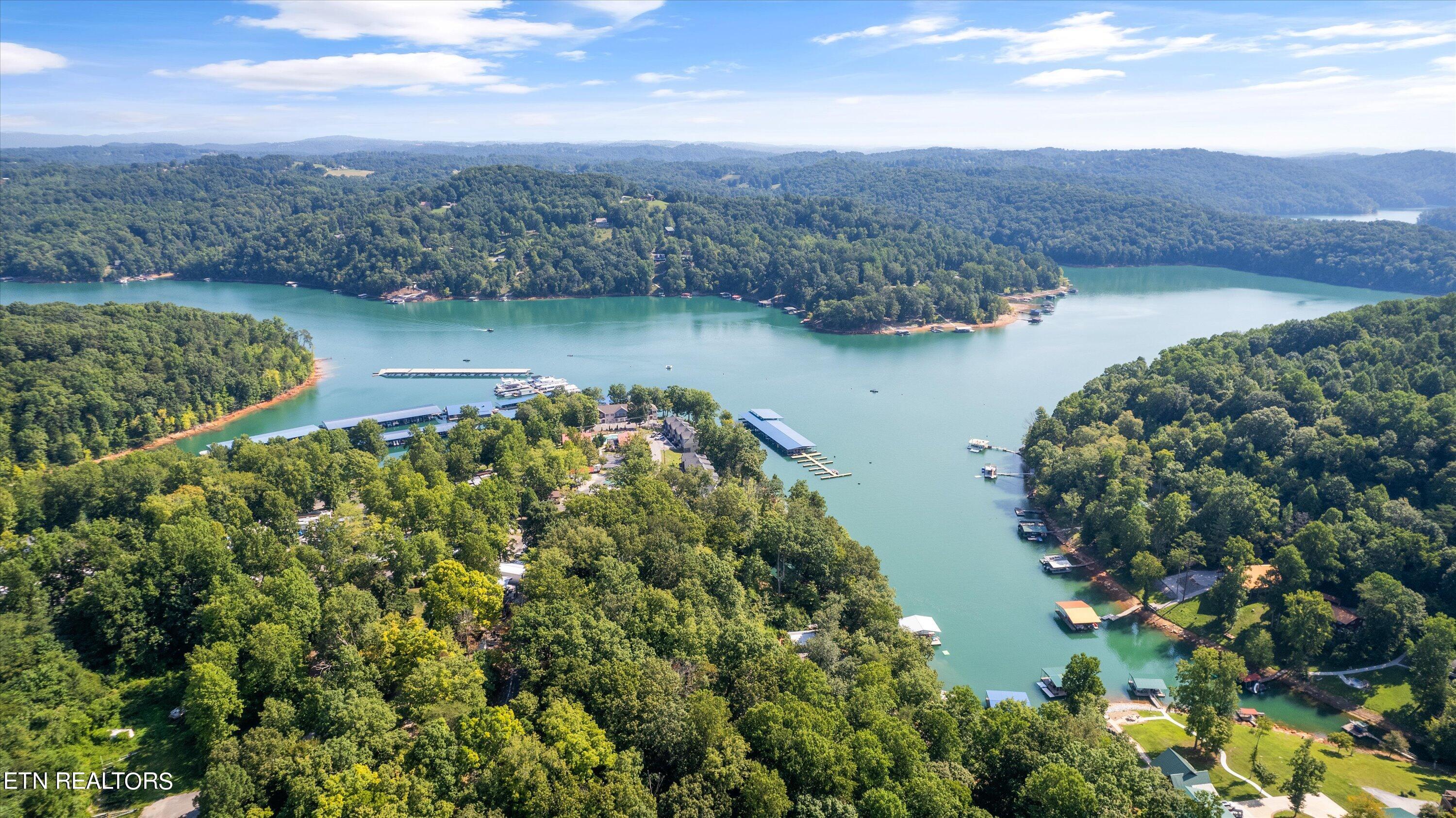 Norris Lake Real Estate - Image# 62