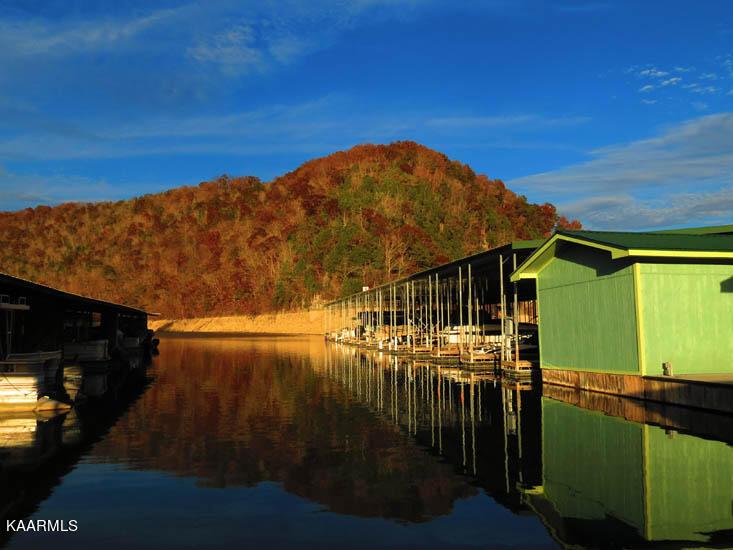 Norris Lake Real Estate - Image# 23