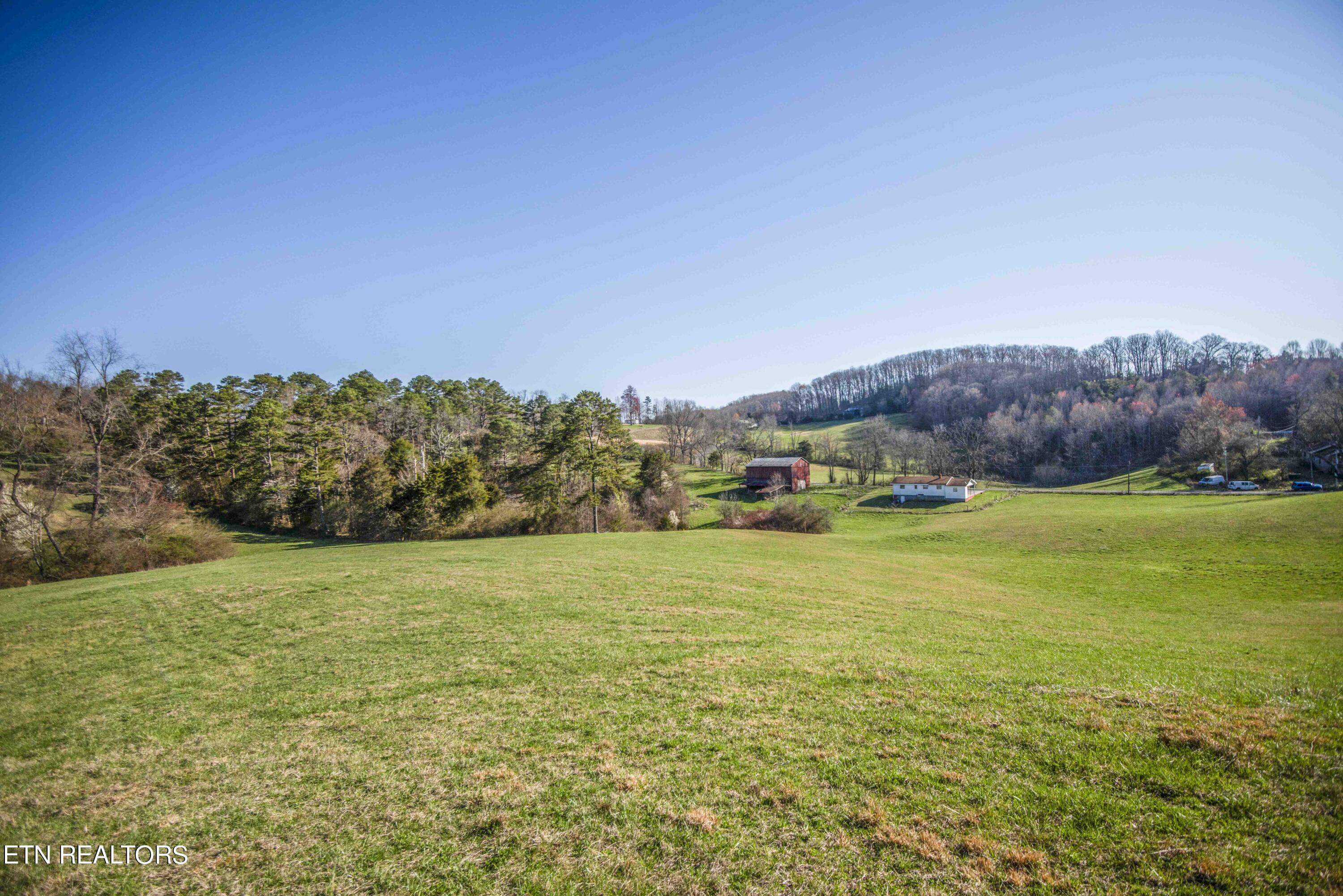 Norris Lake Real Estate - Image# 46