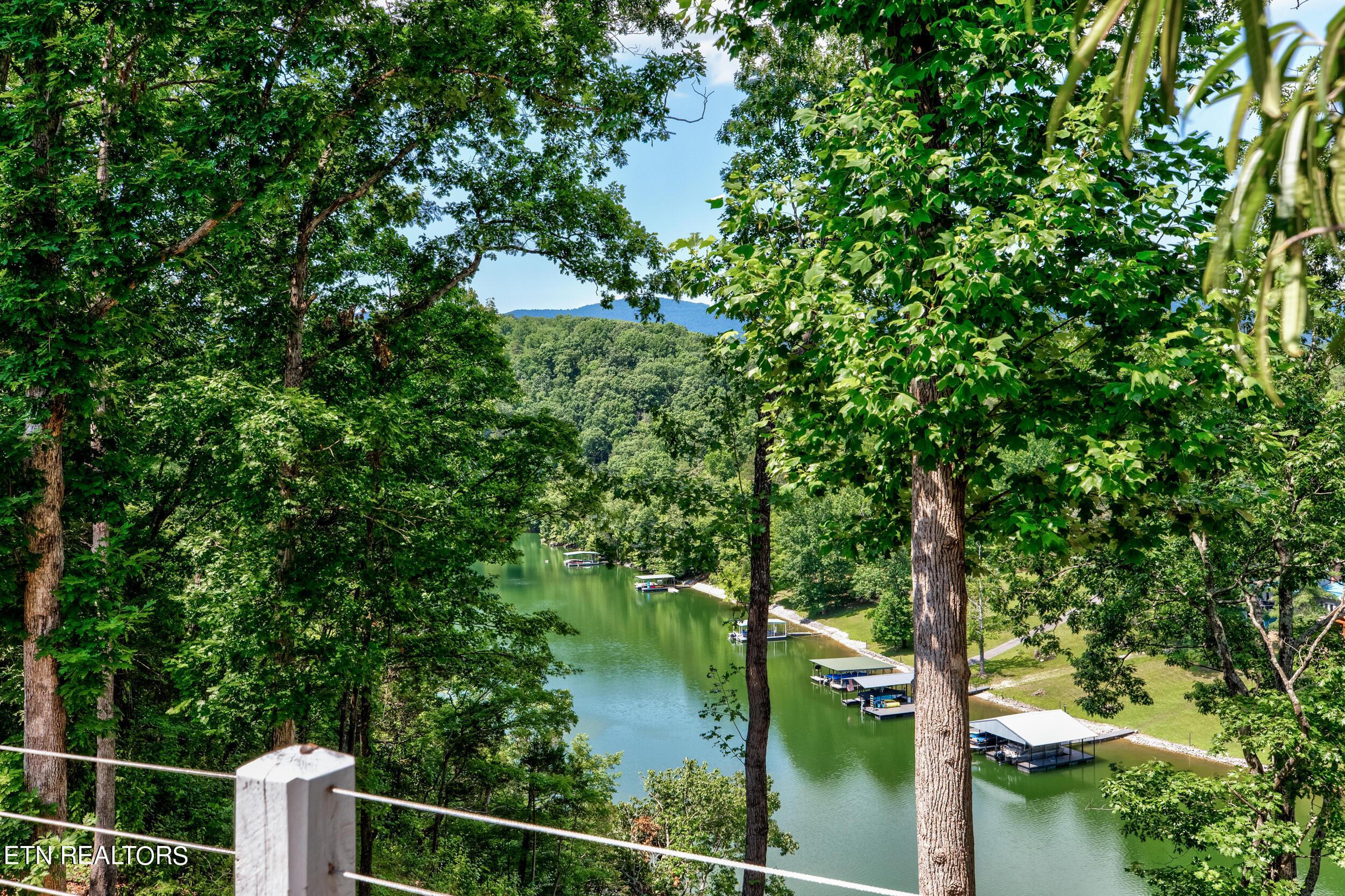 Norris Lake Real Estate - Image# 2