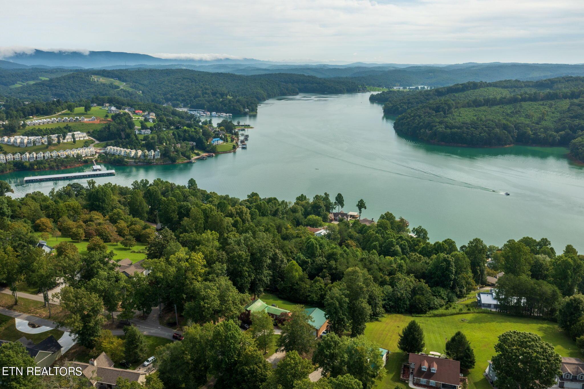 Norris Lake Real Estate - Image# 9