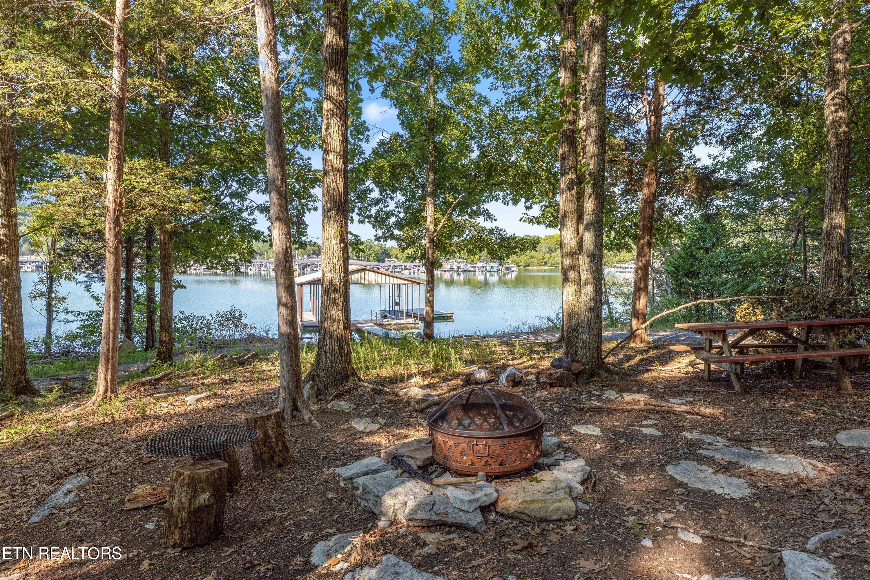 Norris Lake Real Estate - Image# 4