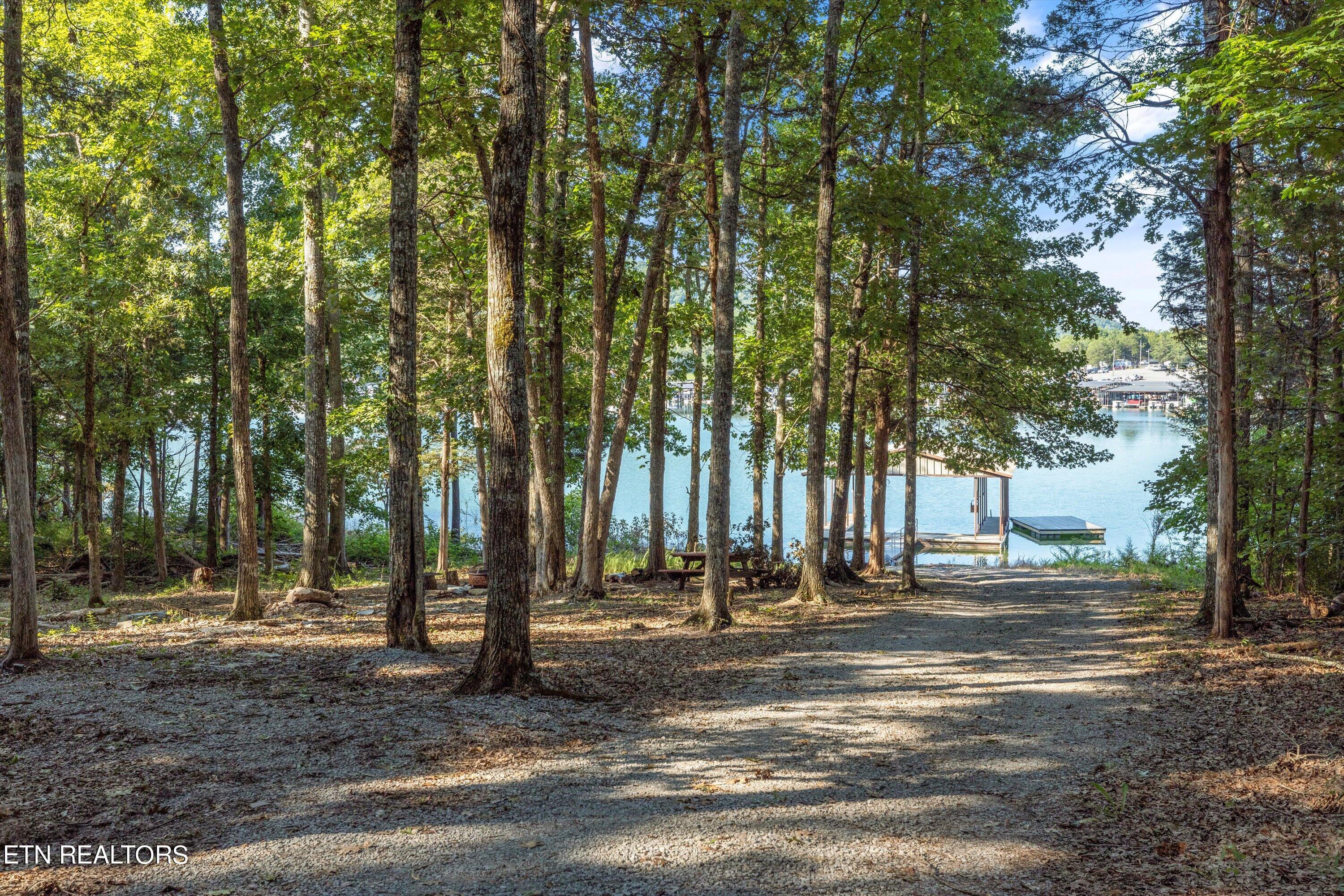 Norris Lake Real Estate - Image# 3