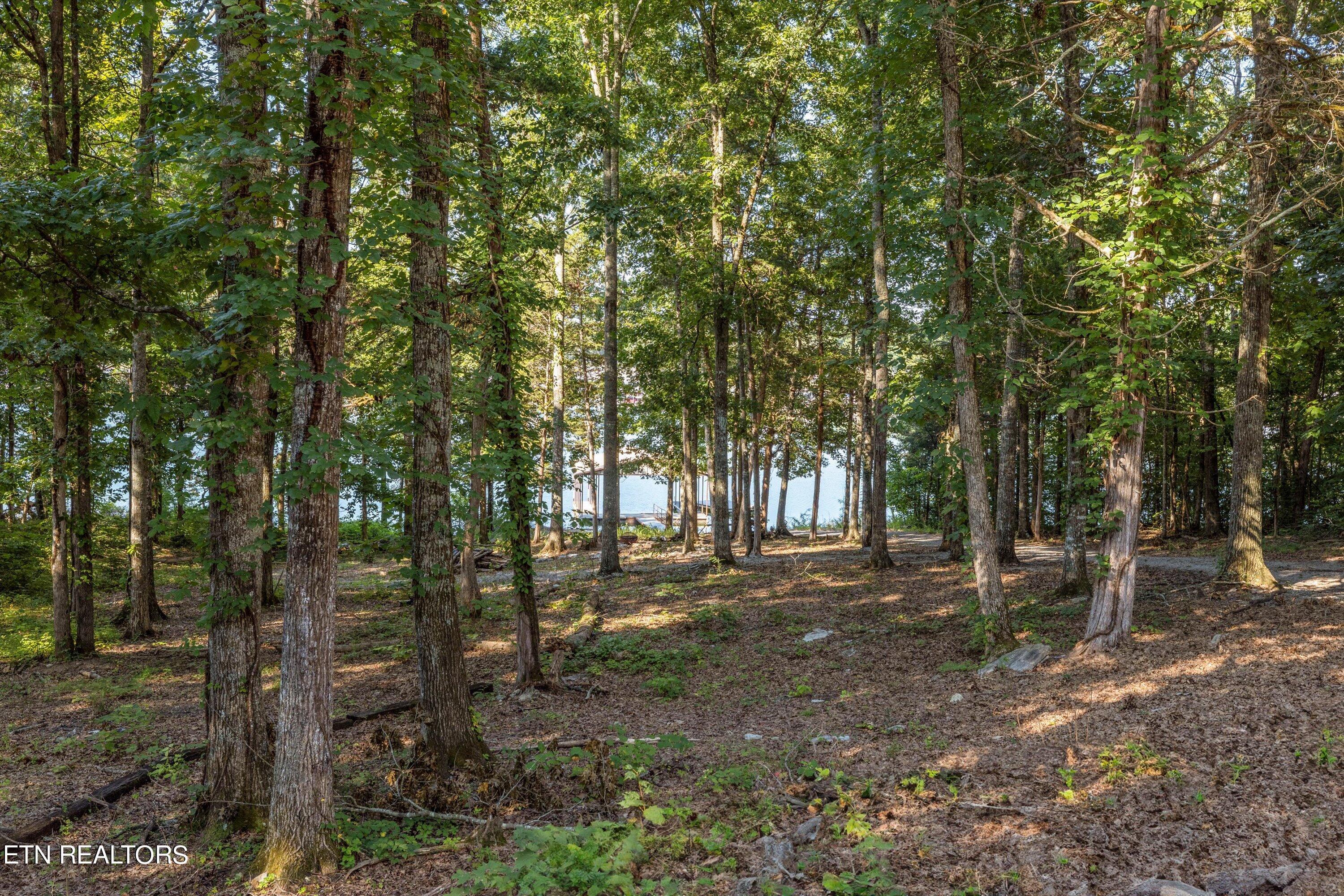 Norris Lake Real Estate - Image# 9